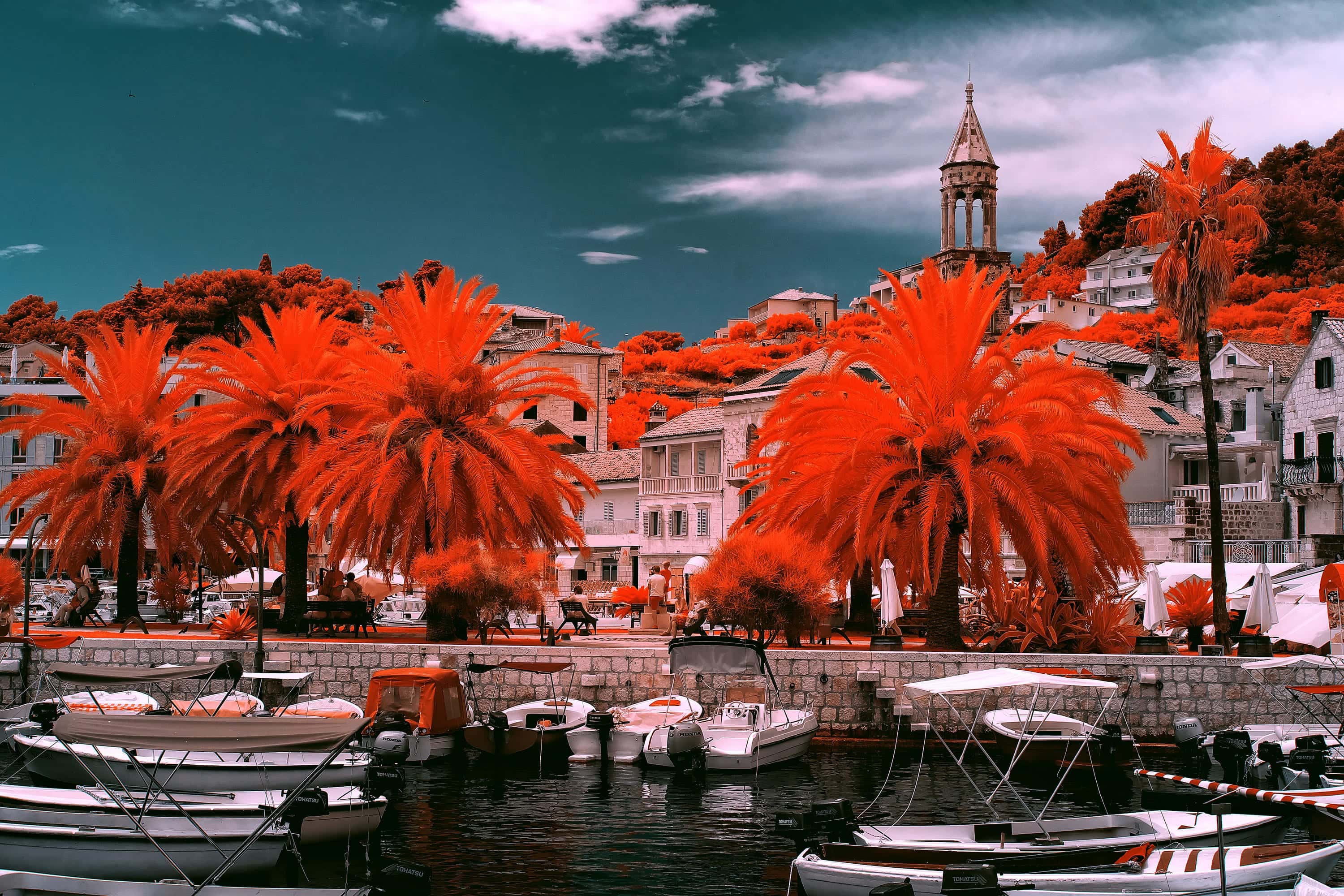 Near-infrared photograph from the Croatia series