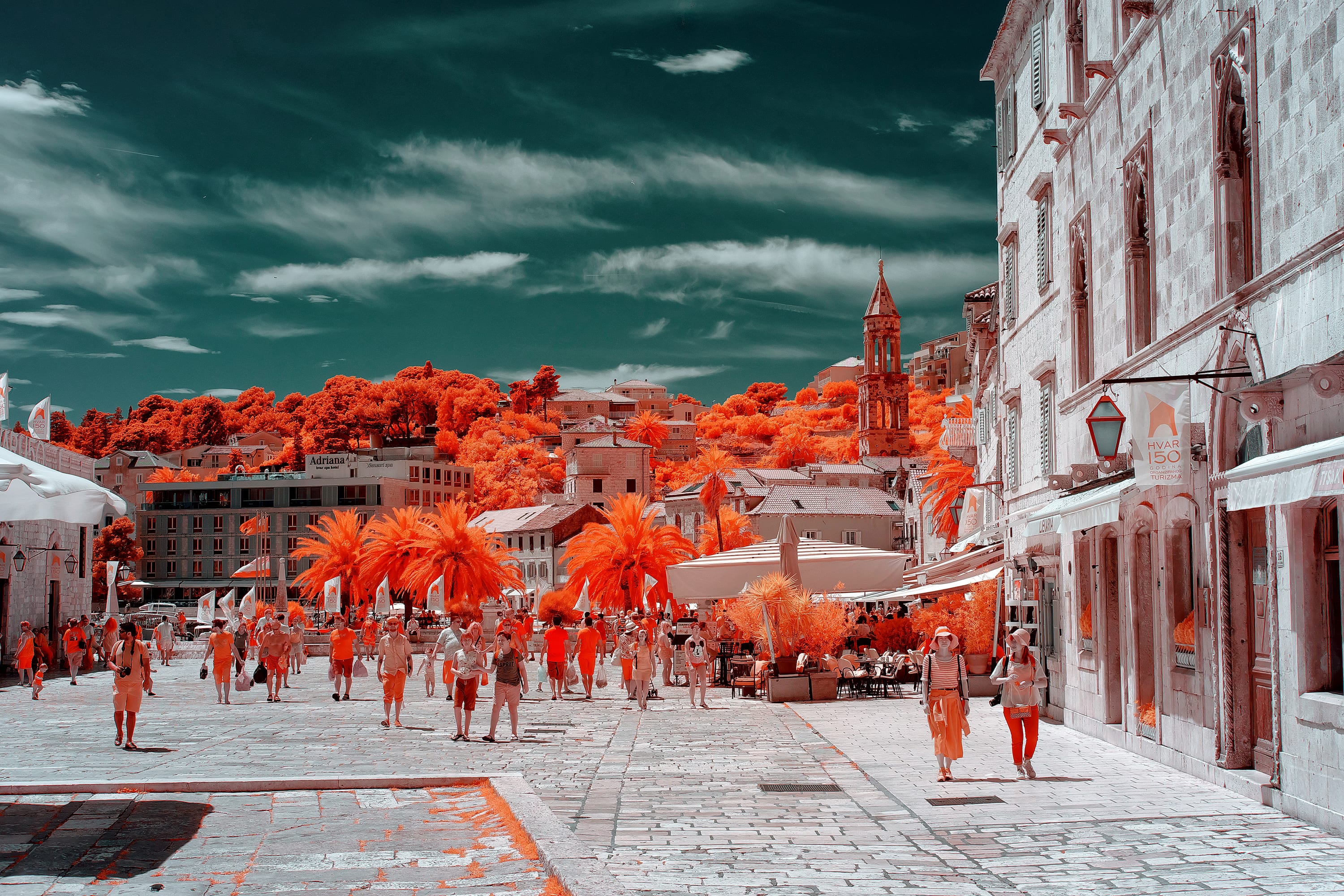 Near-infrared photograph from the Croatia series — description pending curation