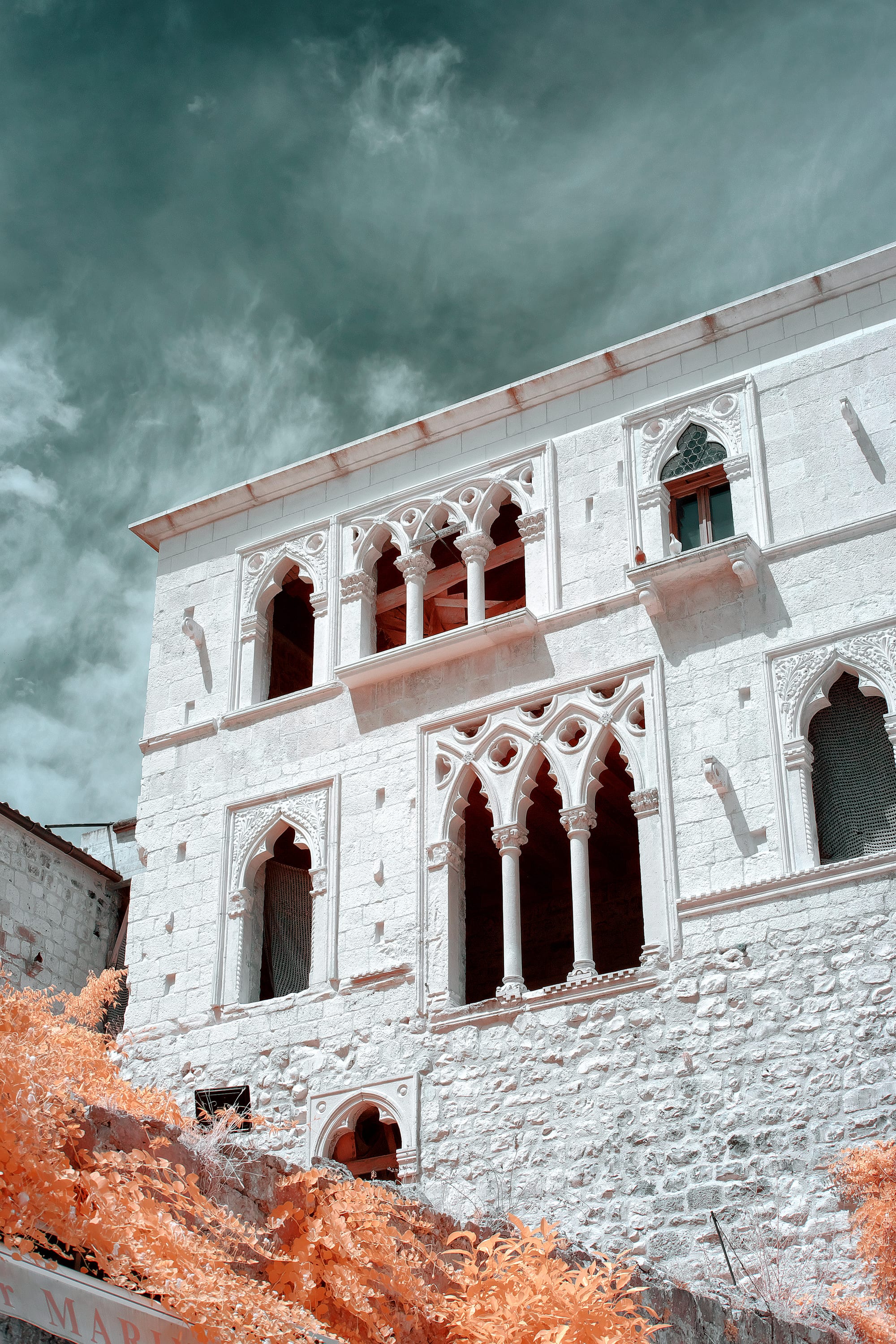 Near-infrared photograph from the Croatia series — description pending curation