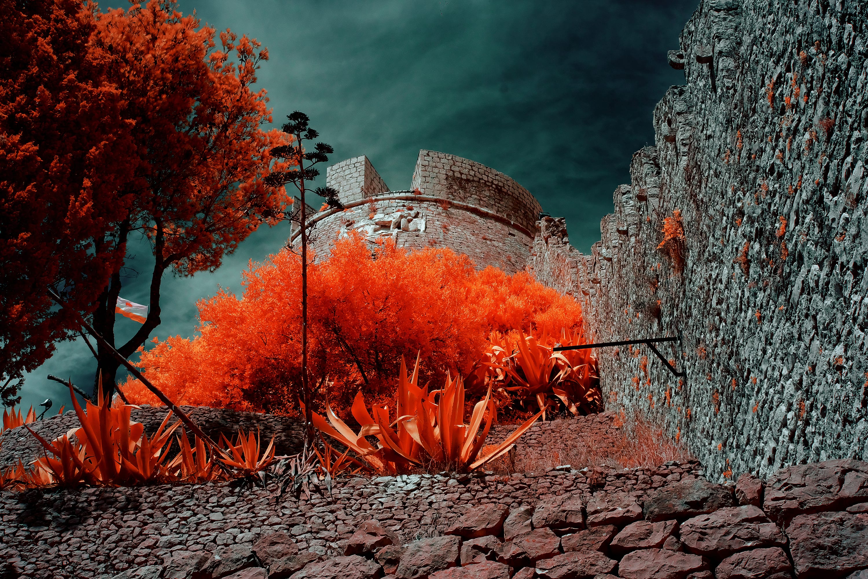 Near-infrared photograph from the Croatia series — description pending curation