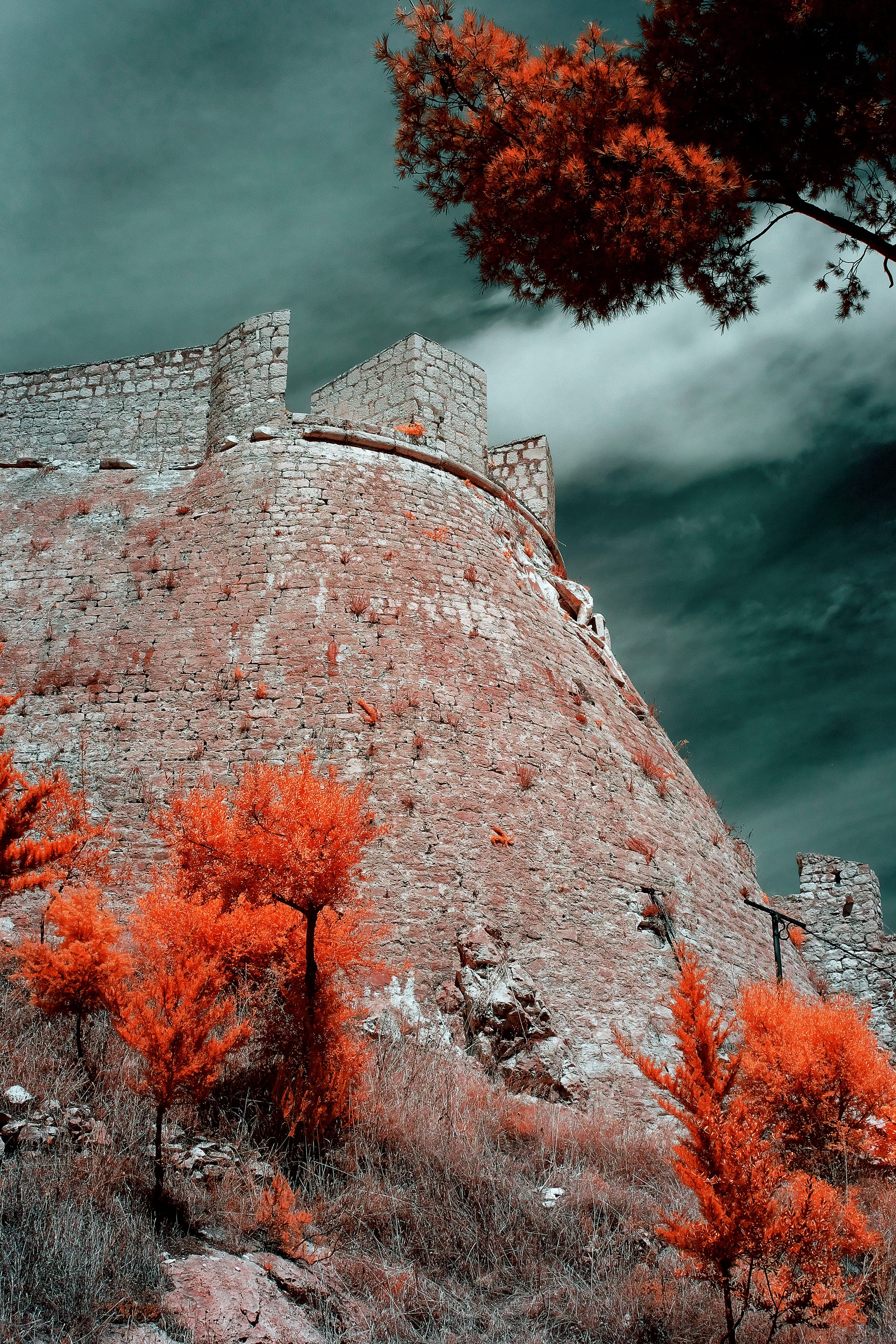 Near-infrared photograph from the Croatia series — description pending curation