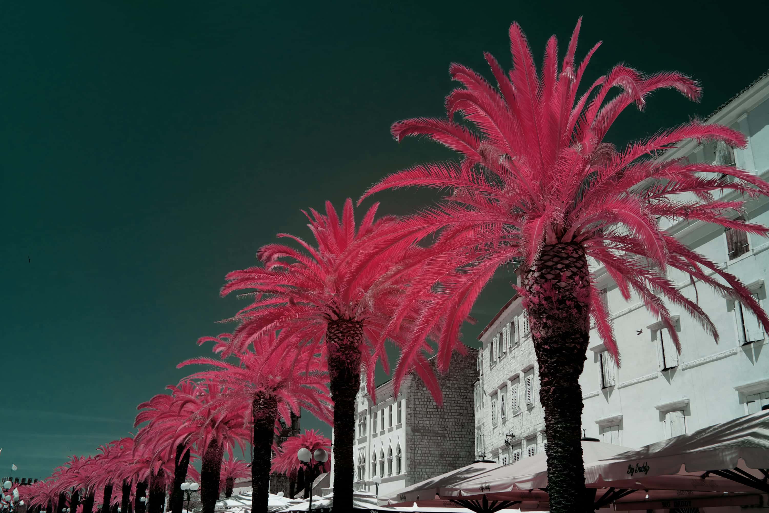 Near-infrared photograph from the Croatia series