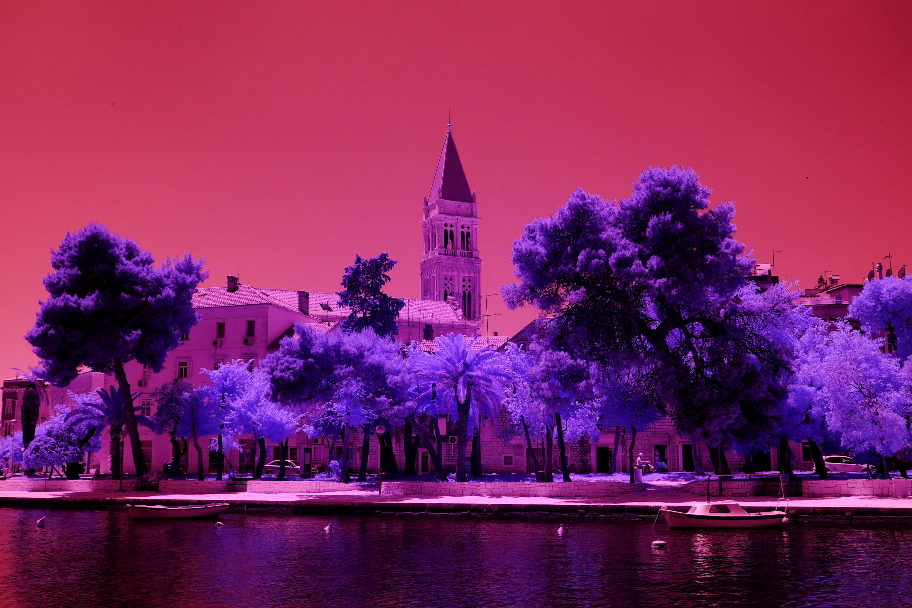 Near-infrared photograph from the Croatia series — description pending curation