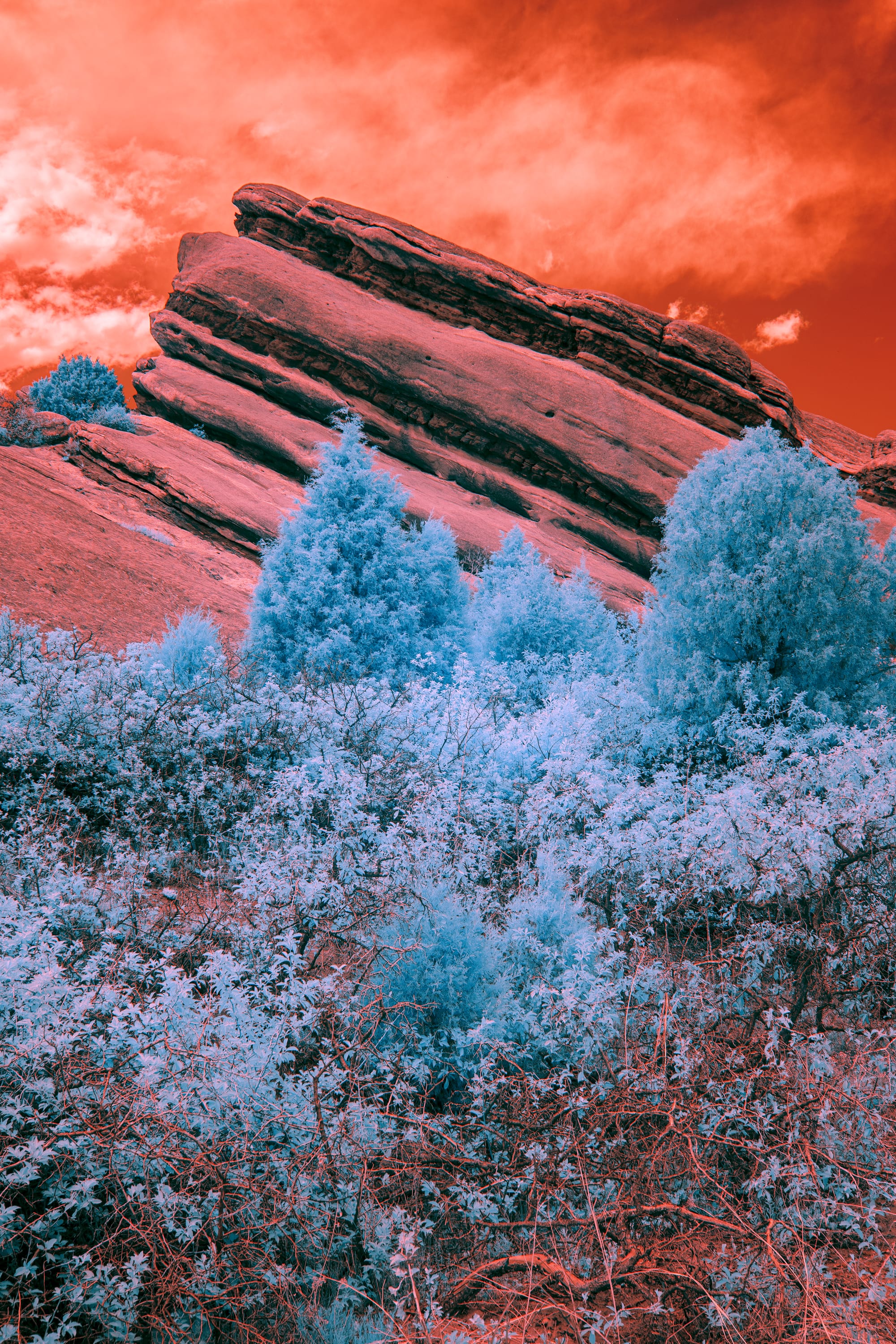 Near-infrared photograph from the Denver series — description pending curation