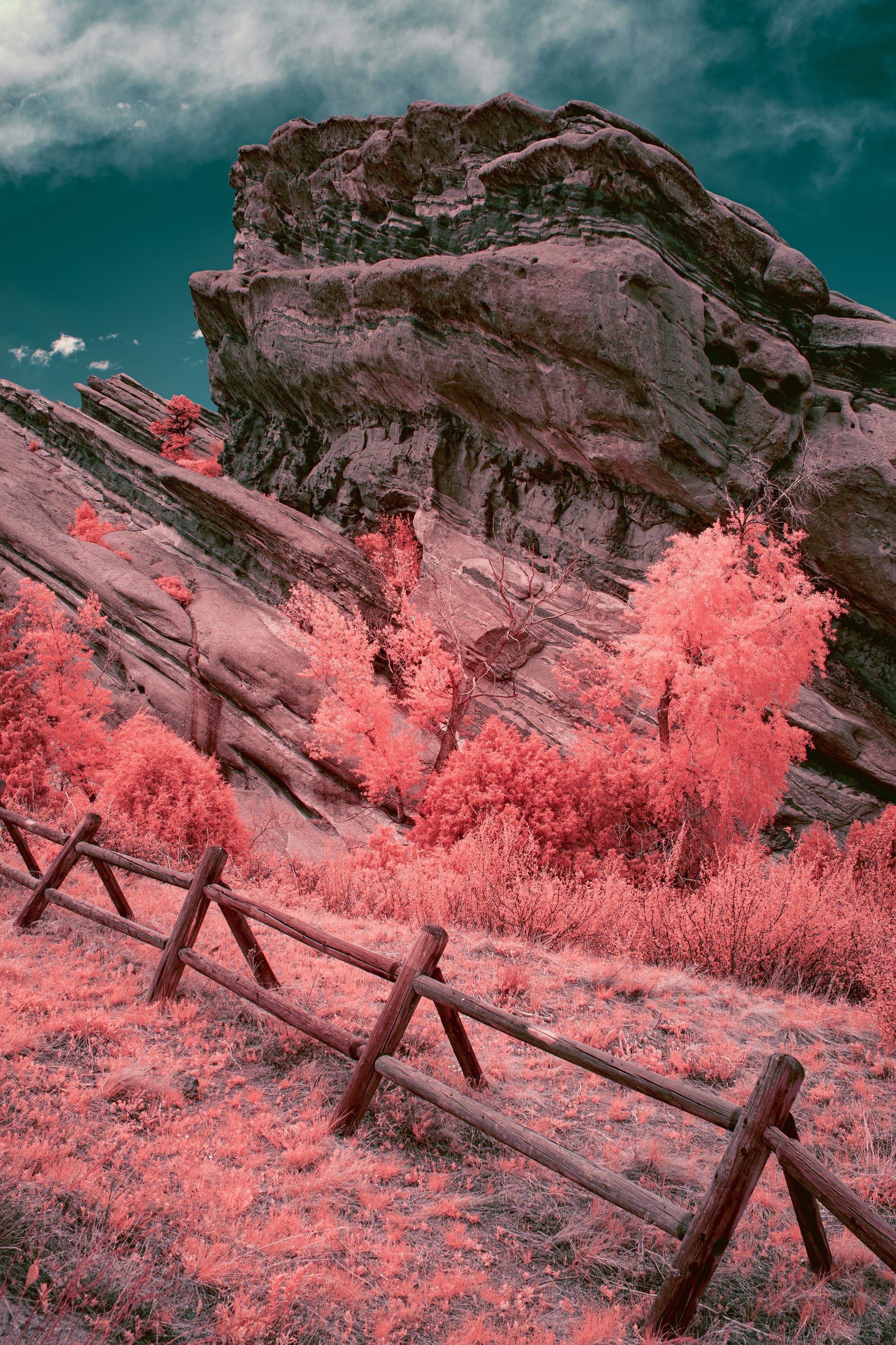 Near-infrared photograph from the Denver series — description pending curation