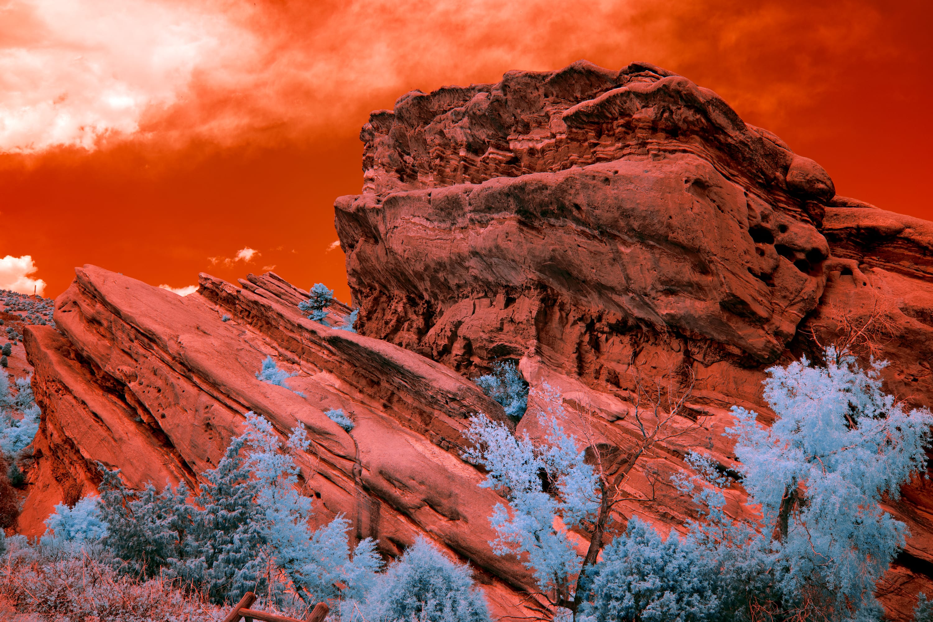 Near-infrared photograph from the Denver series — description pending curation