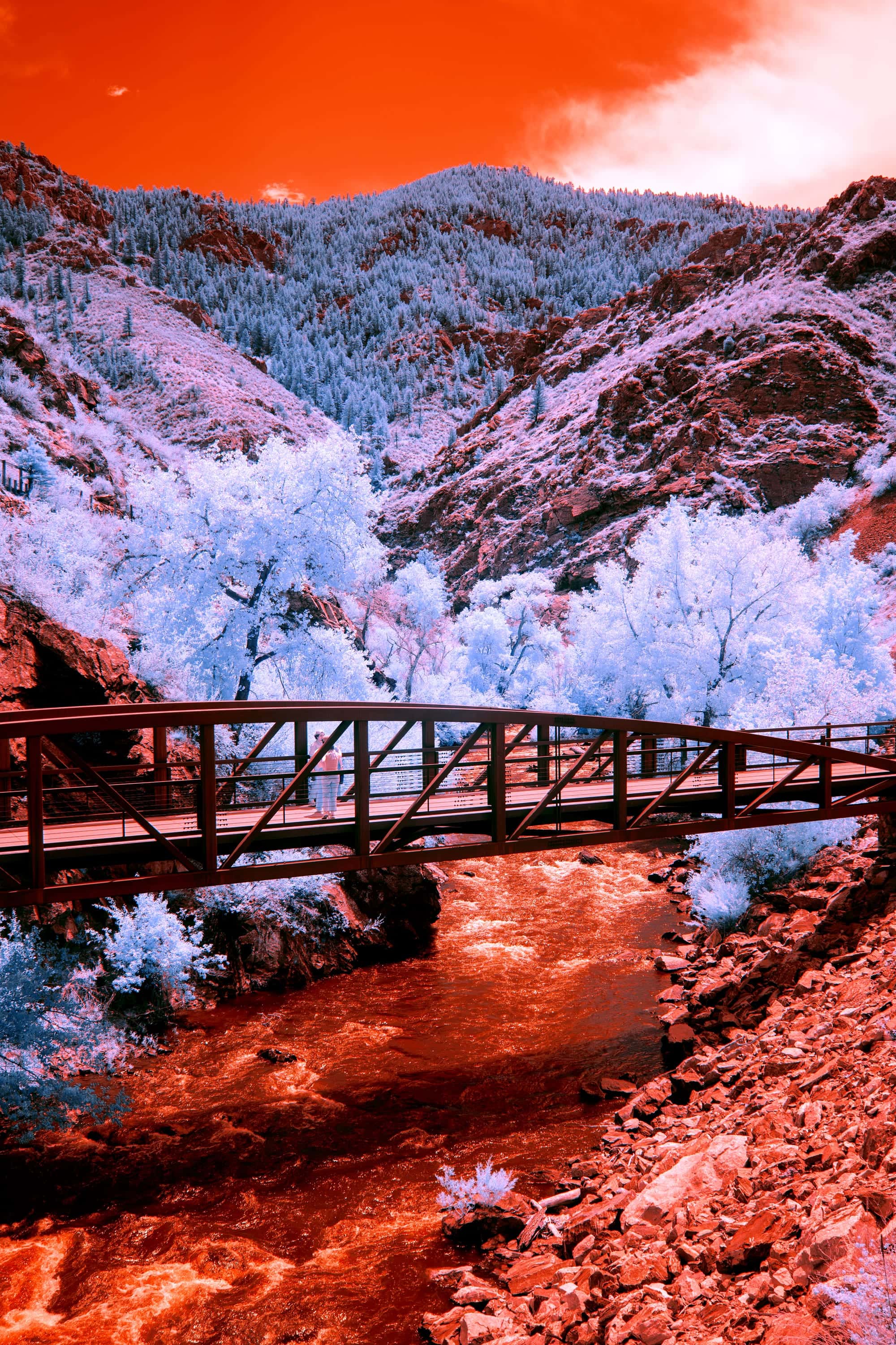 Near-infrared photograph from the Denver series
