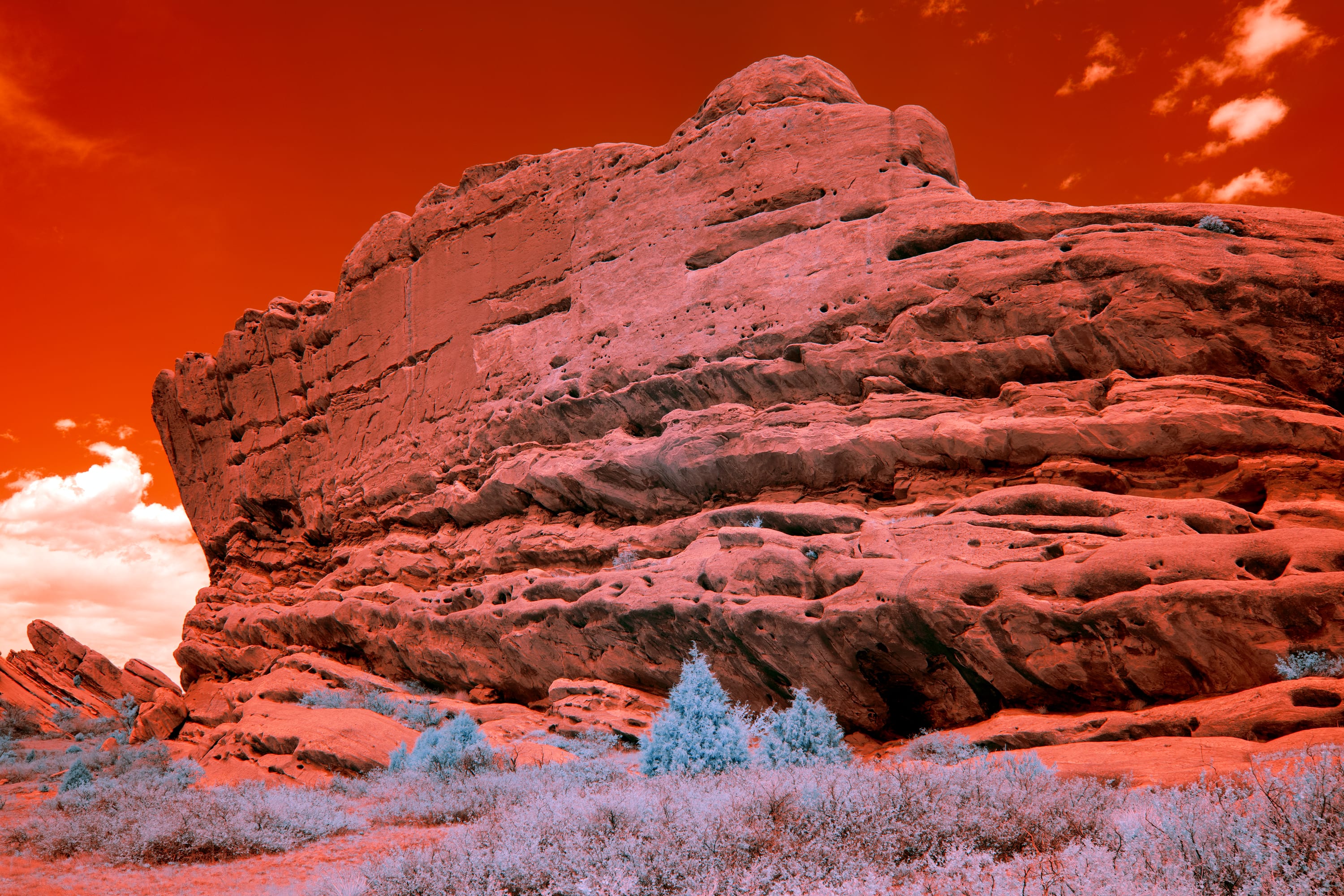Near-infrared photograph from the Denver series — description pending curation