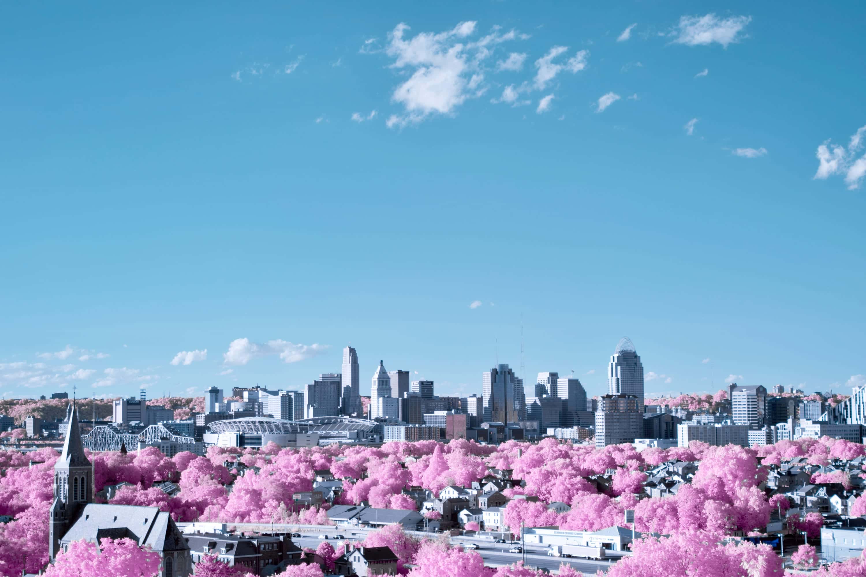 A city skyline across a basin of rooftops and magenta trees under pale blue sky