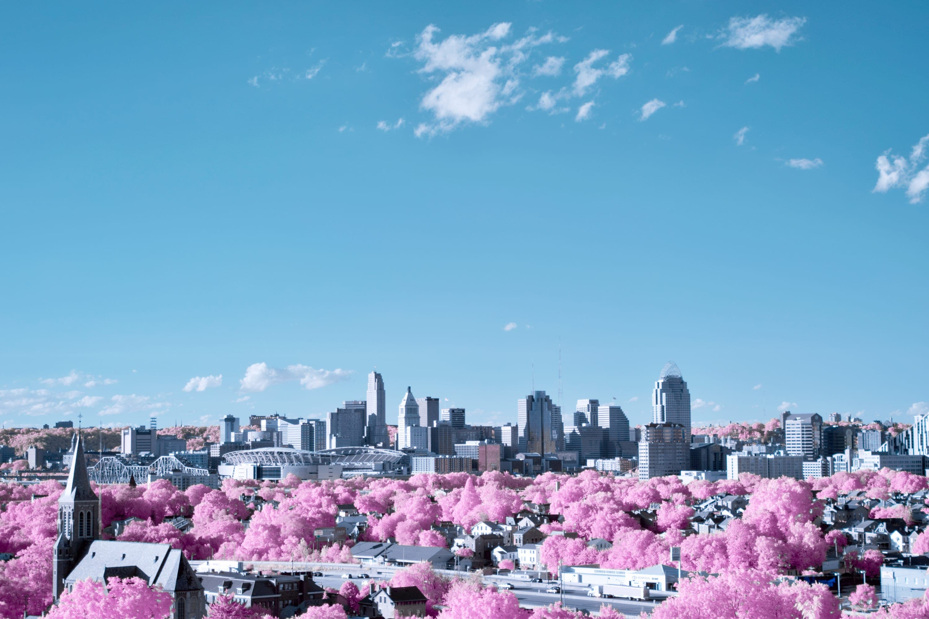 A city skyline across a basin of rooftops and magenta trees under pale blue sky