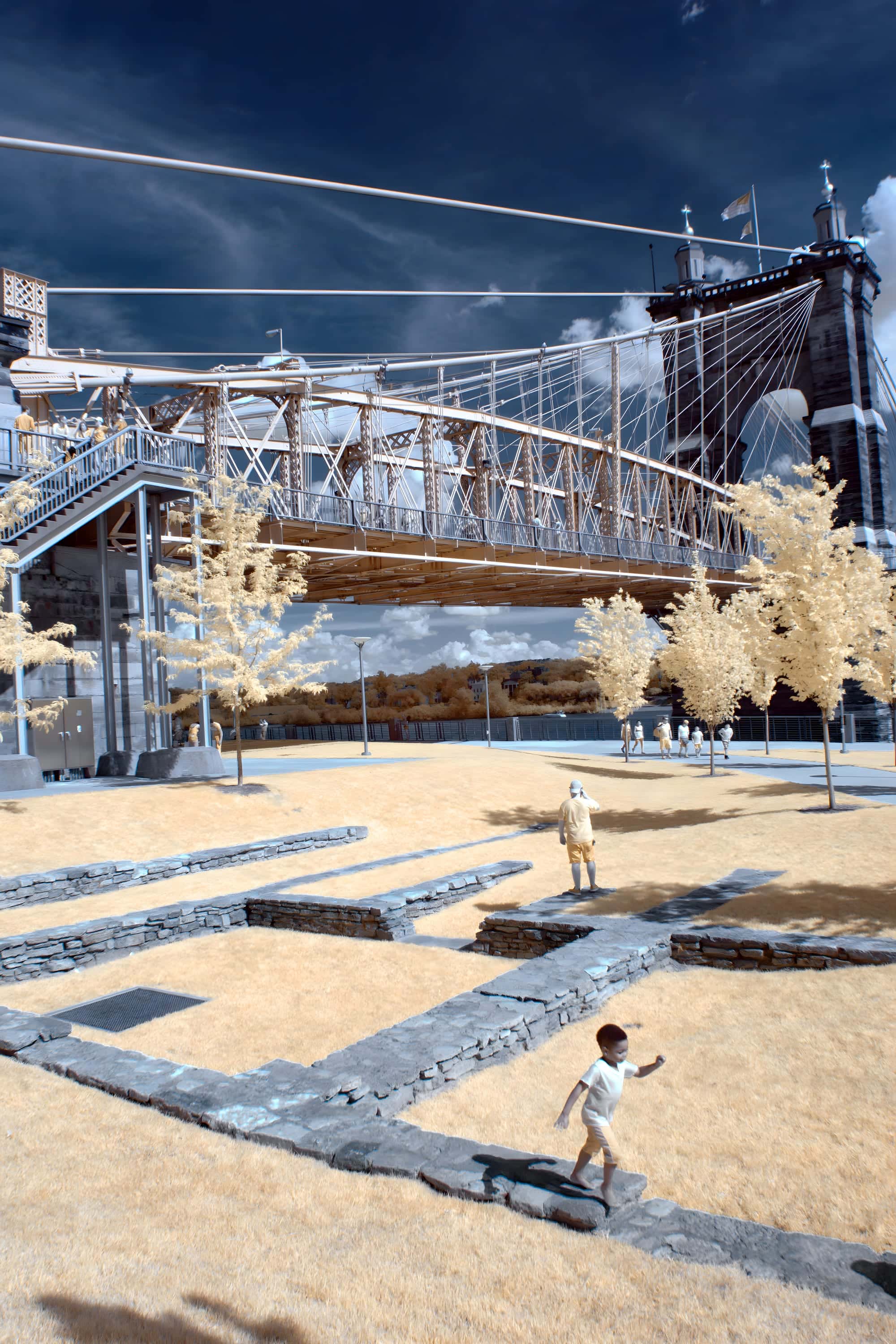 The John A. Roebling Suspension Bridge over the Ohio River at Cincinnati, with a boy walking the low stone walls in the park beneath it, photographed in near-infrared light.