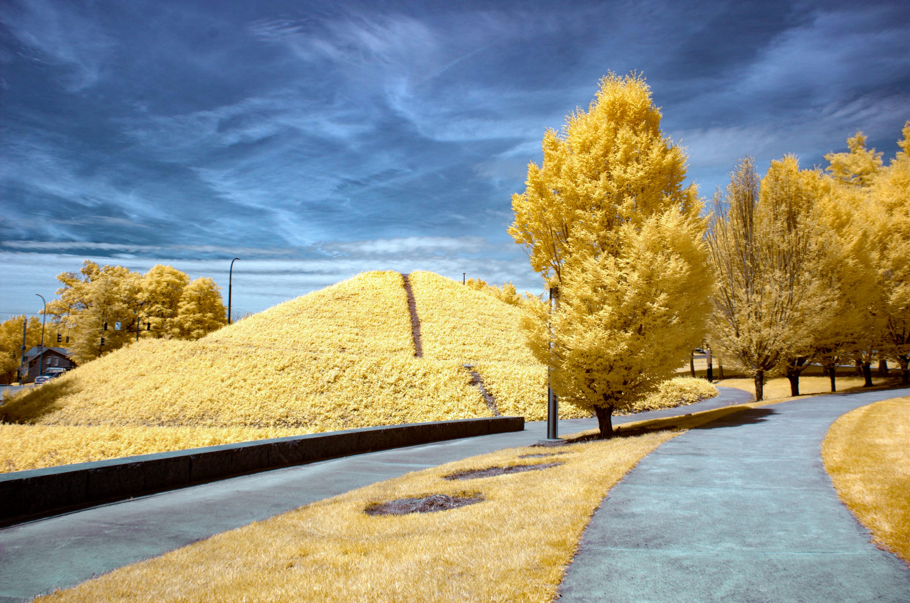 Near-infrared photograph from the First light series — description pending curation