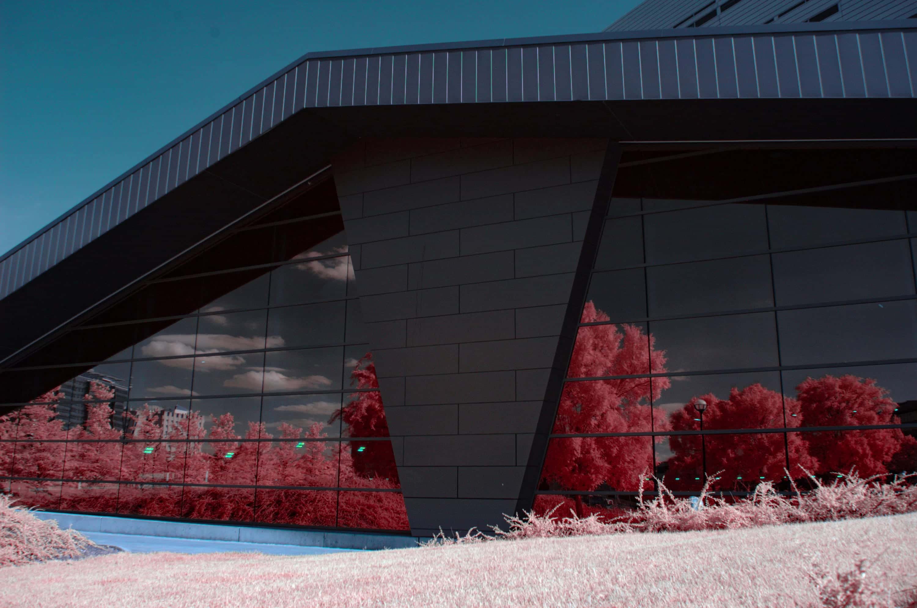 Near-infrared photograph from the First light series