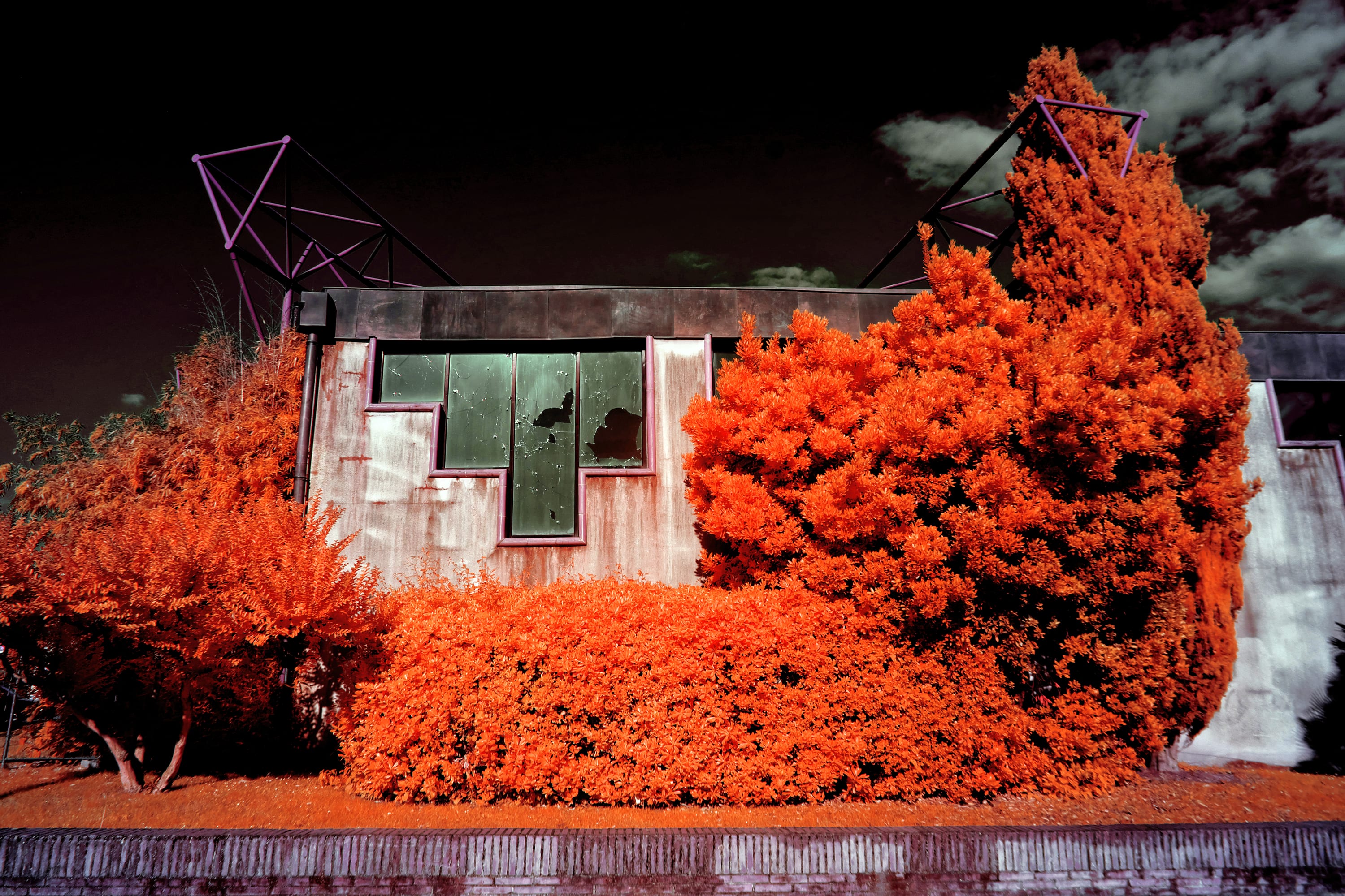 Near-infrared photograph from the France series — description pending curation