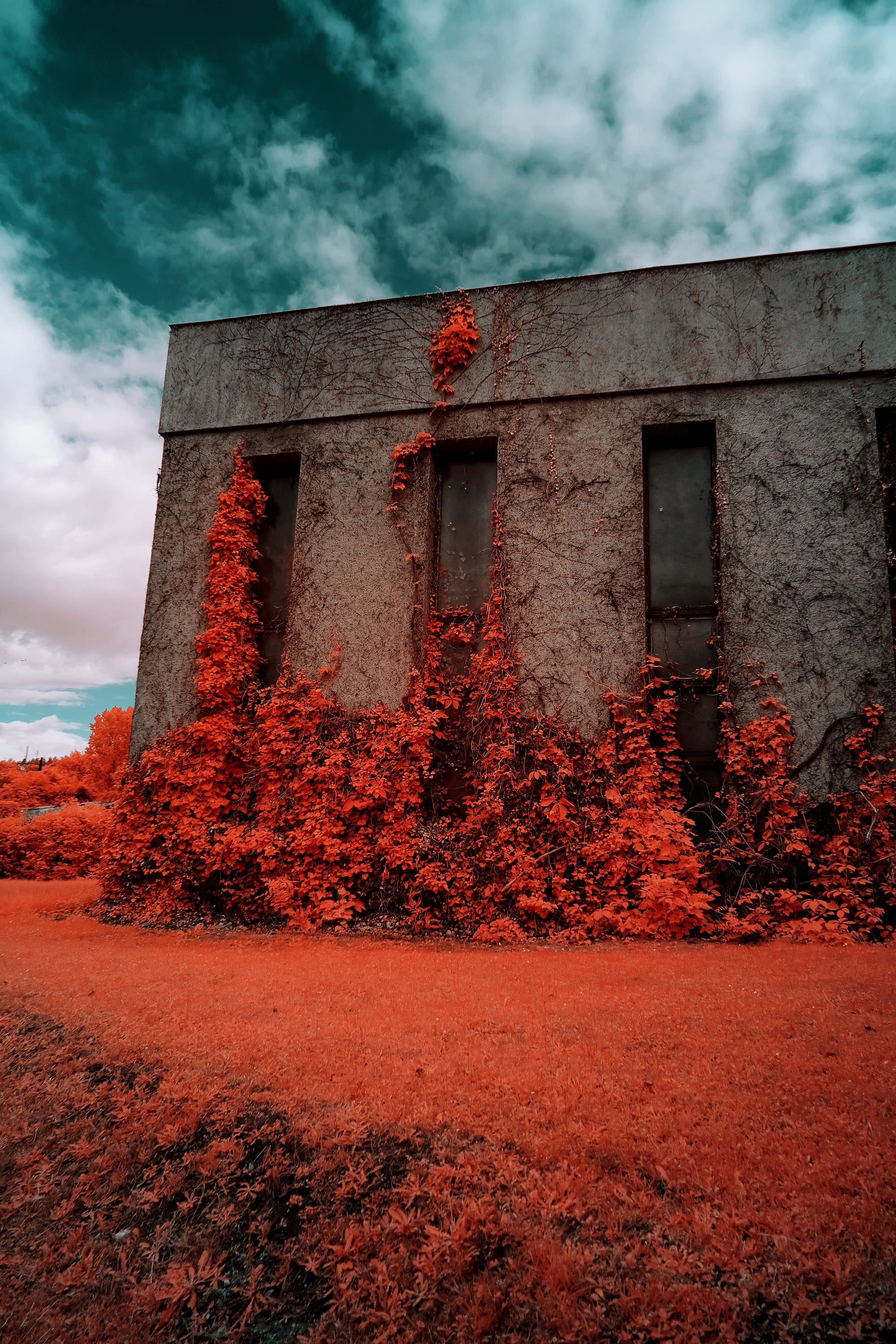 Near-infrared photograph from the France series — description pending curation