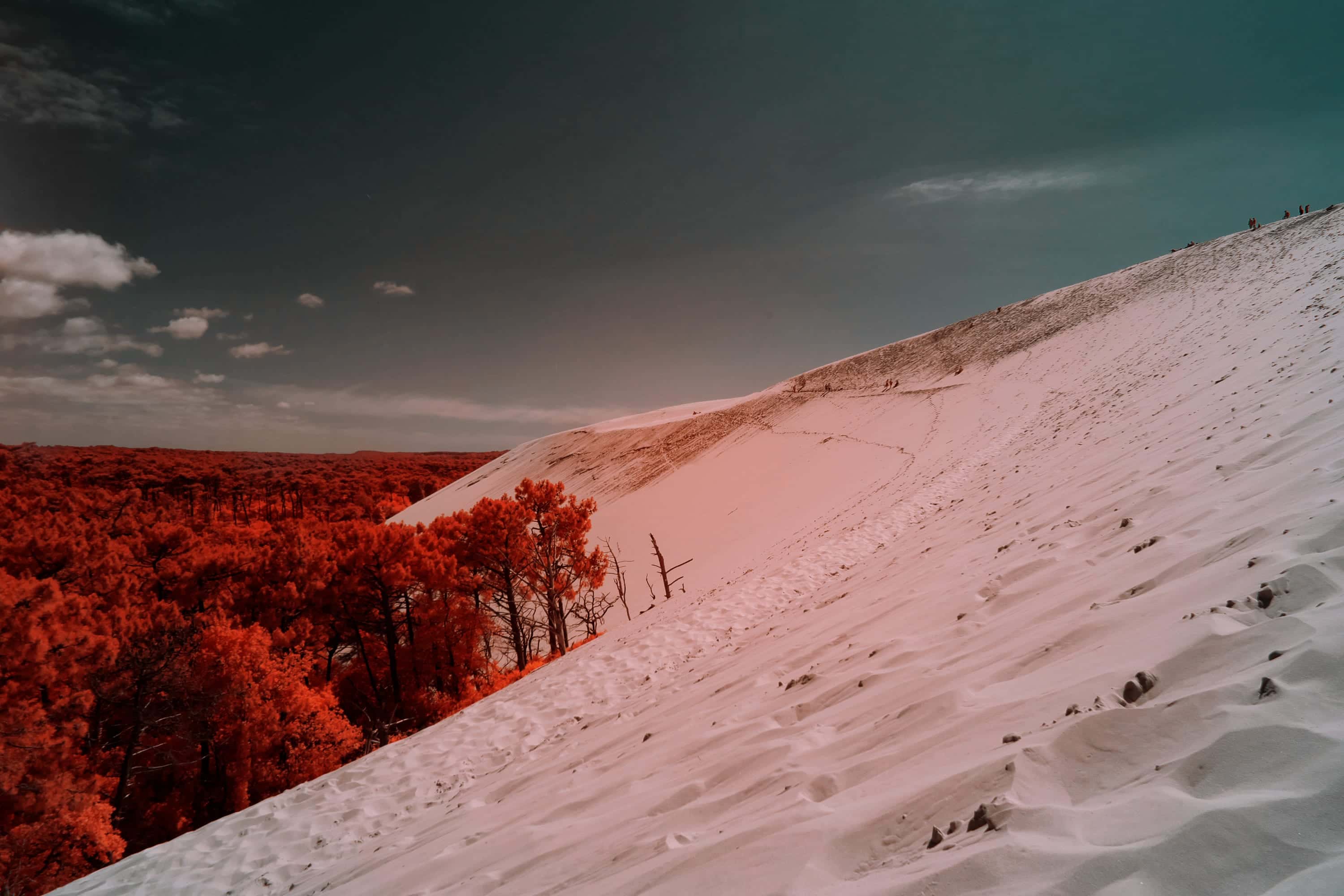 Near-infrared photograph from the France series