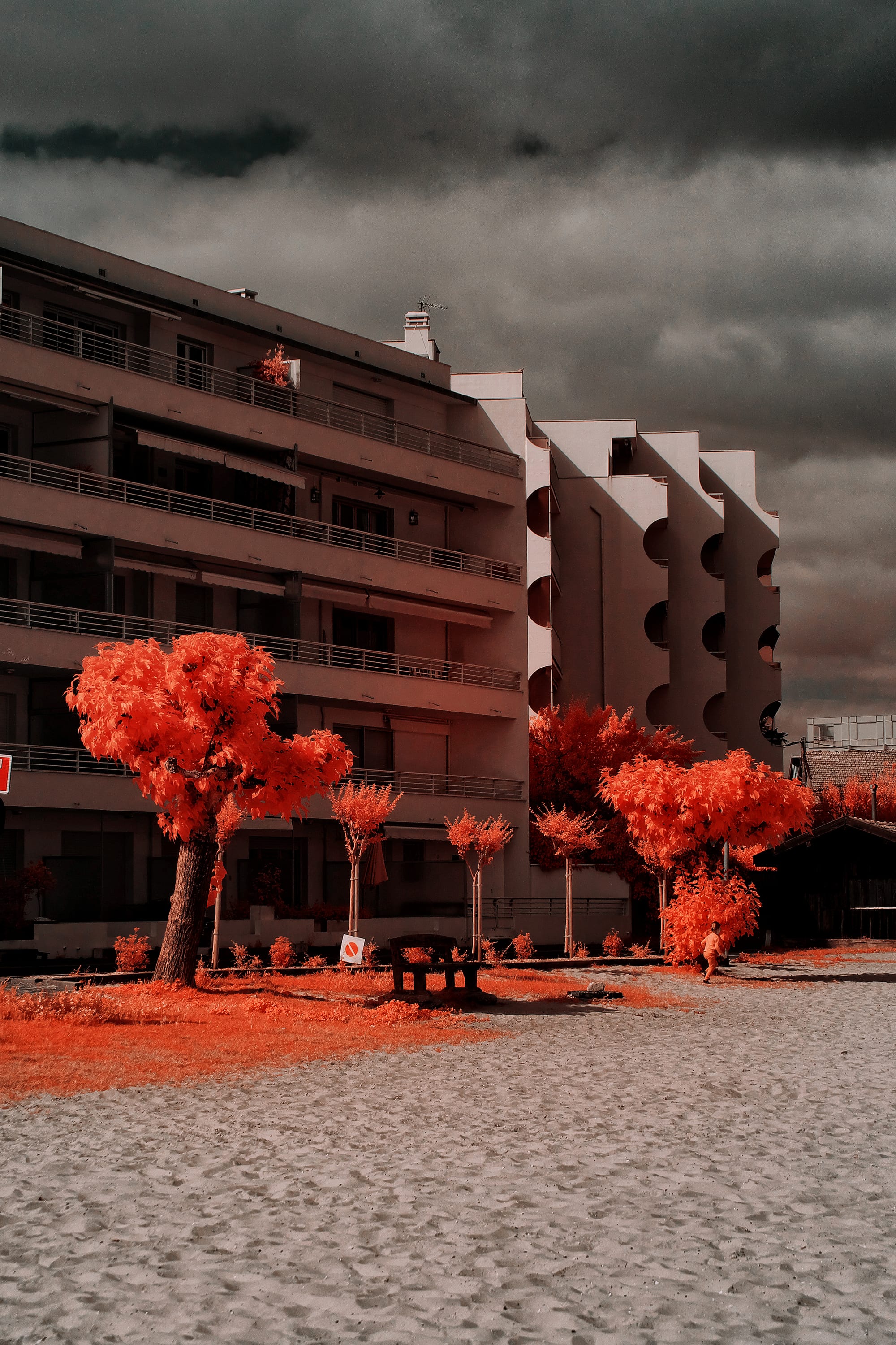 Near-infrared photograph from the France series — description pending curation