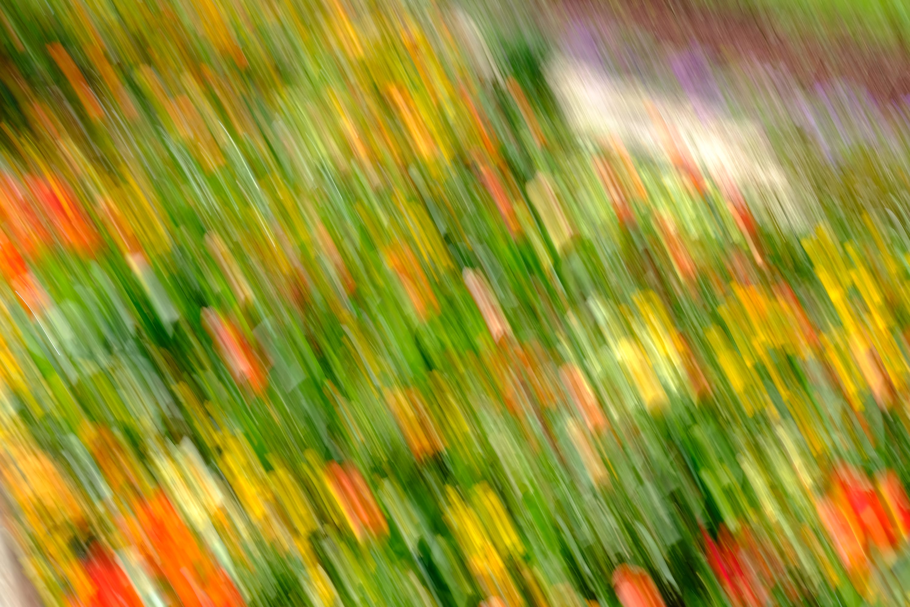Impressionist camera-movement study from the Giverny series — description pending curation