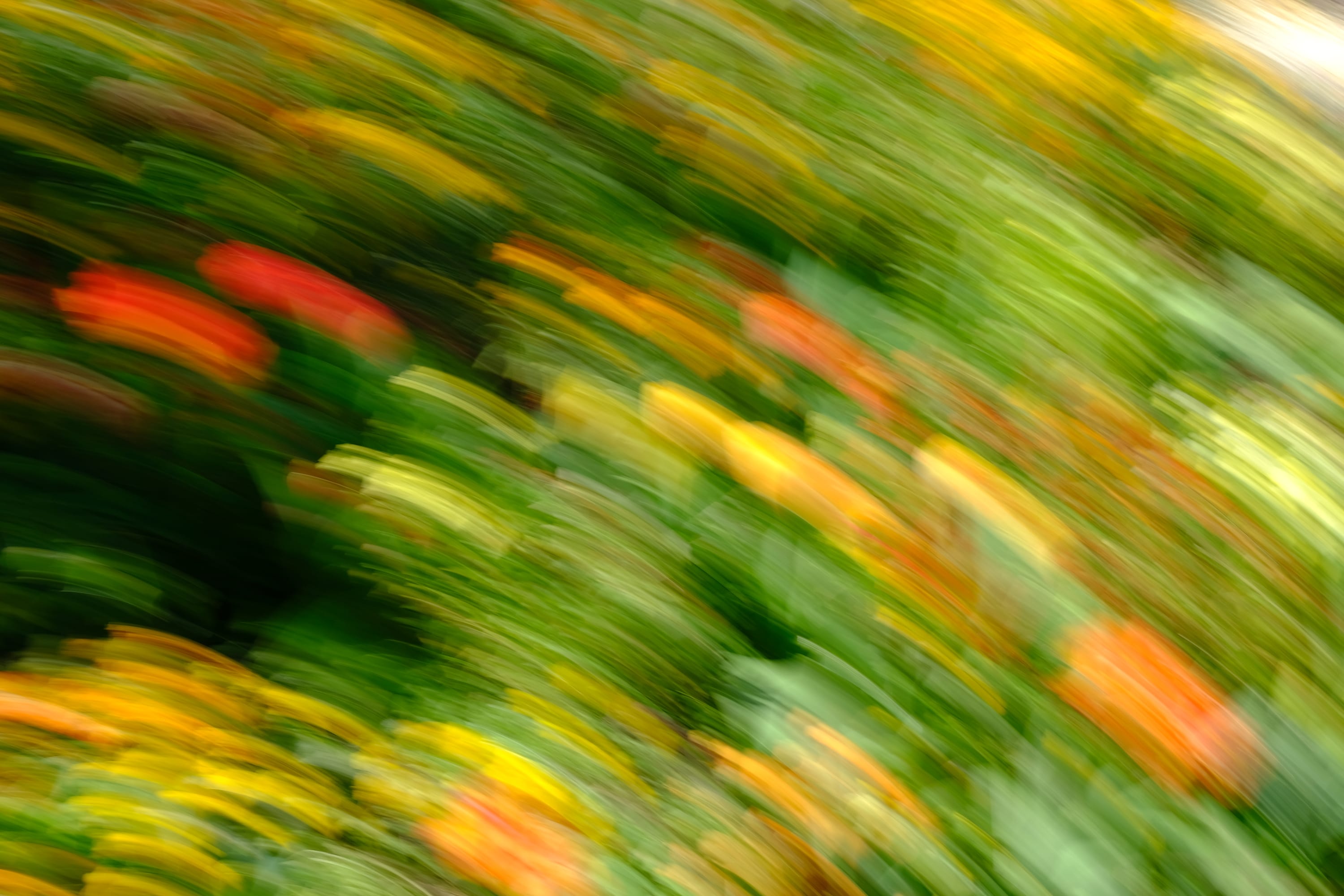 Impressionist camera-movement study from the Giverny series — description pending curation