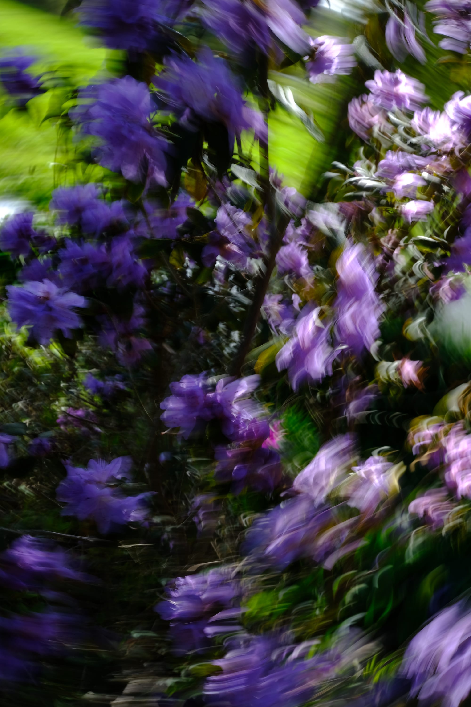 Impressionist camera-movement study from the Giverny series — description pending curation