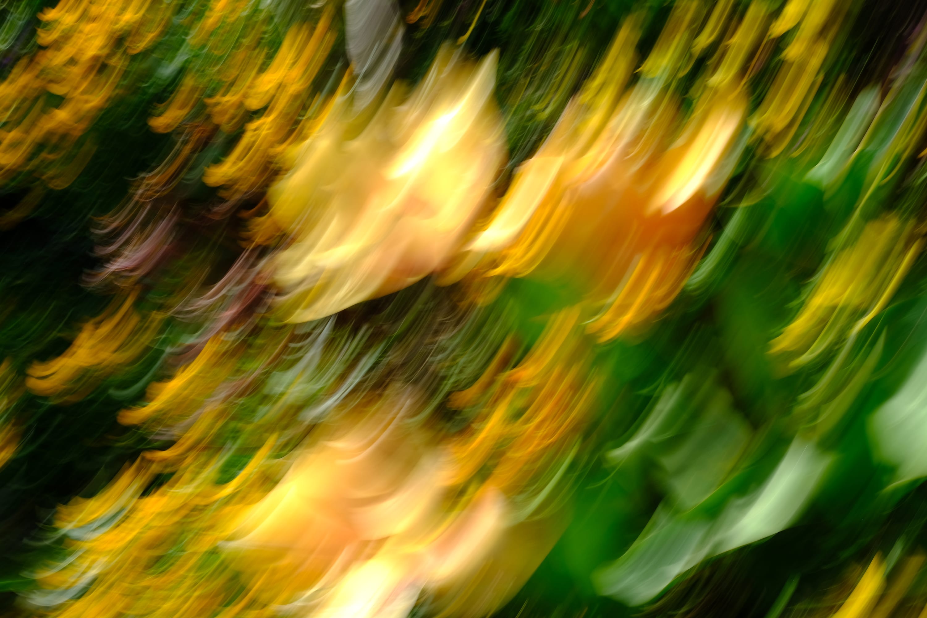 Impressionist camera-movement study from the Giverny series — description pending curation