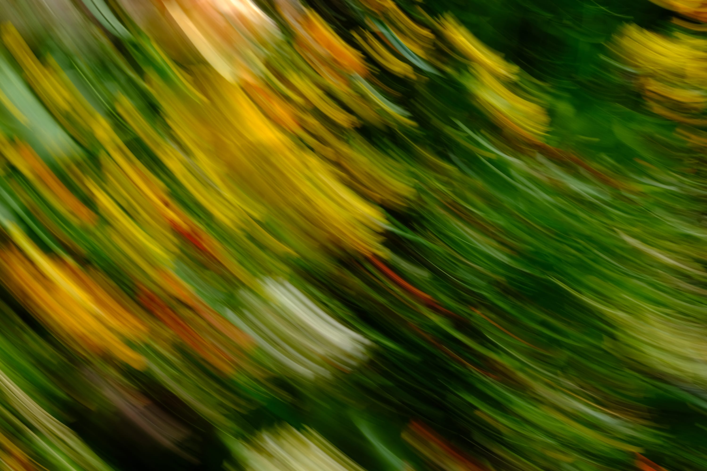Impressionist camera-movement study from the Giverny series — description pending curation