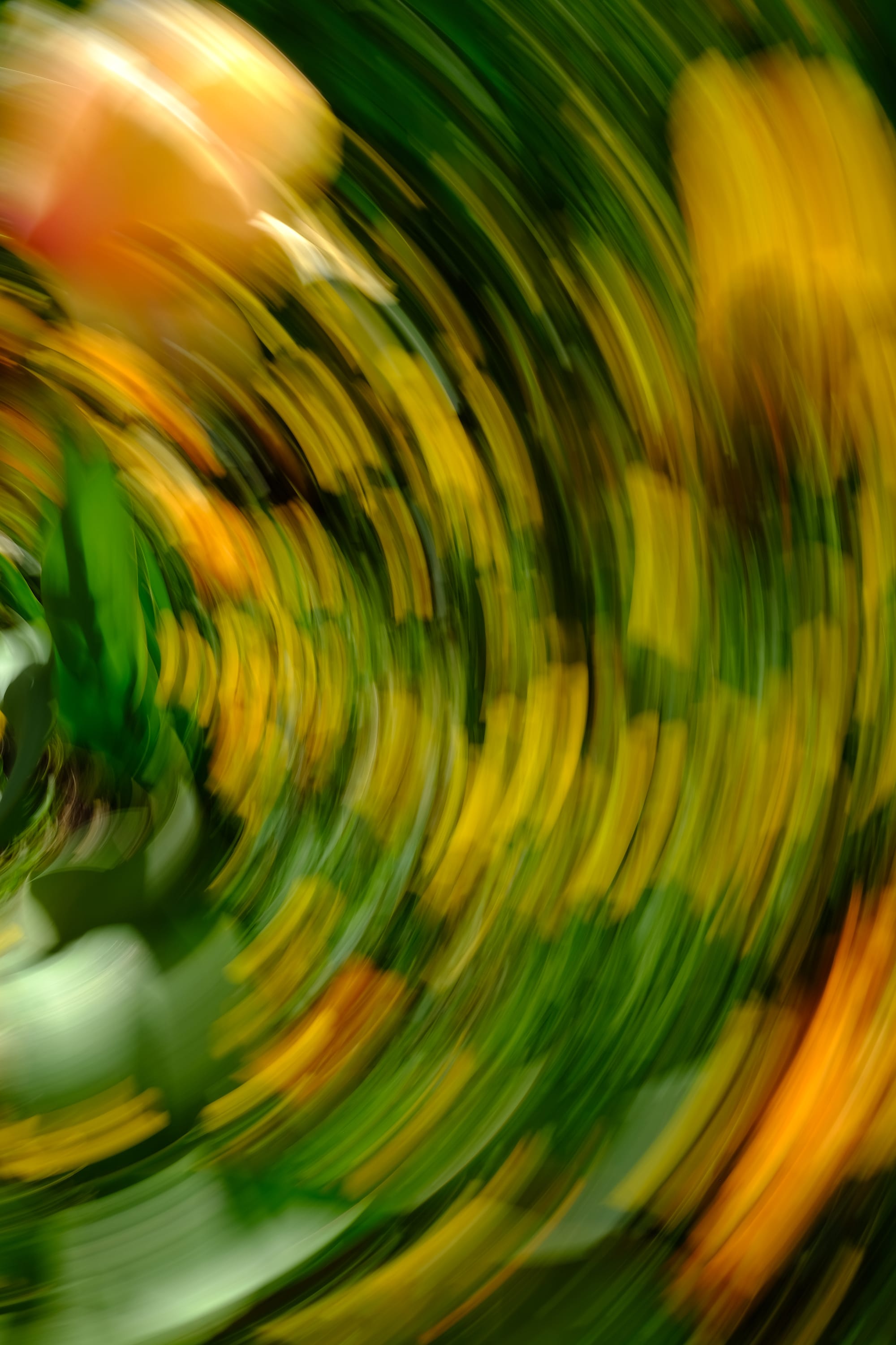 Impressionist camera-movement study from the Giverny series — description pending curation