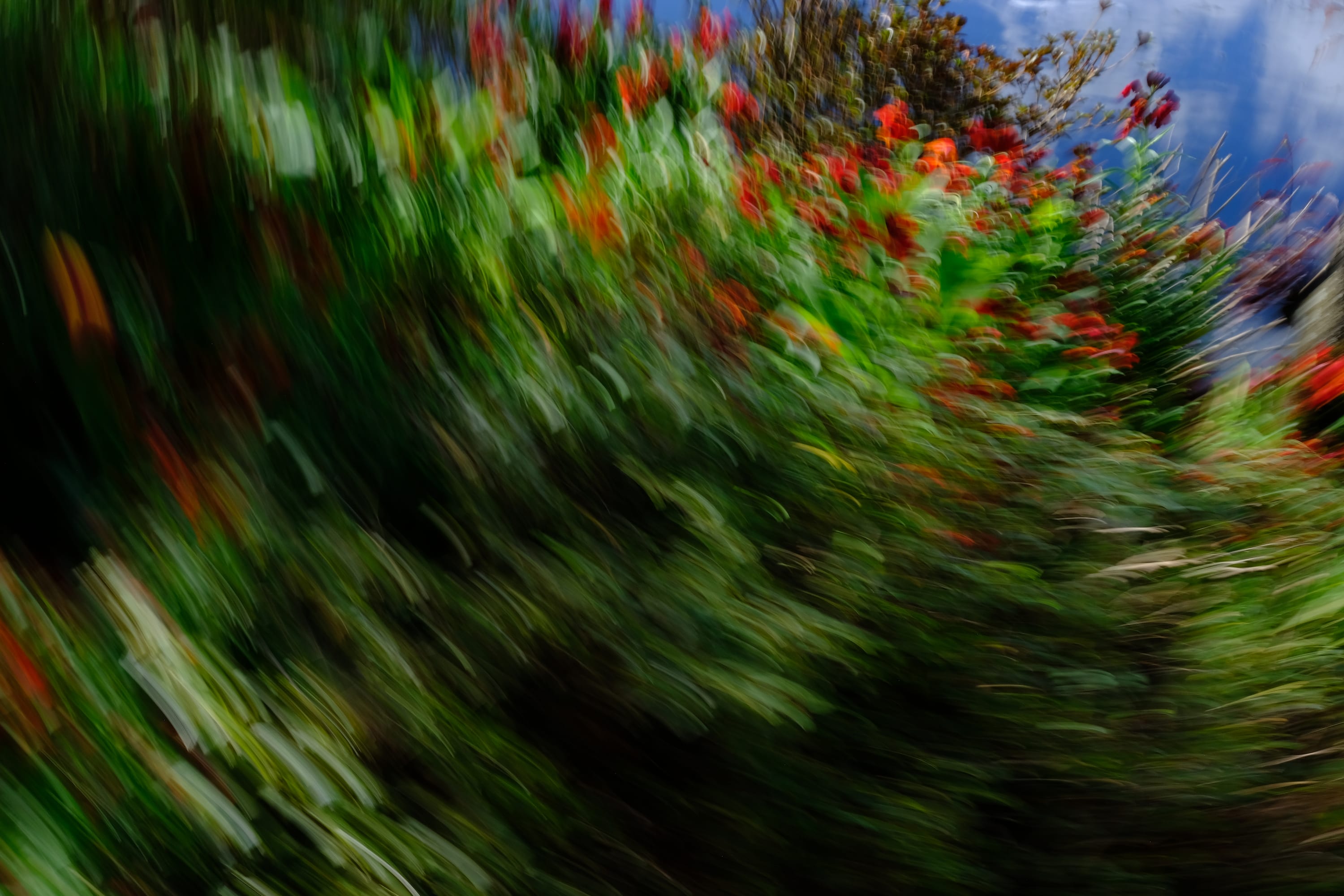 Impressionist camera-movement study from the Giverny series — description pending curation