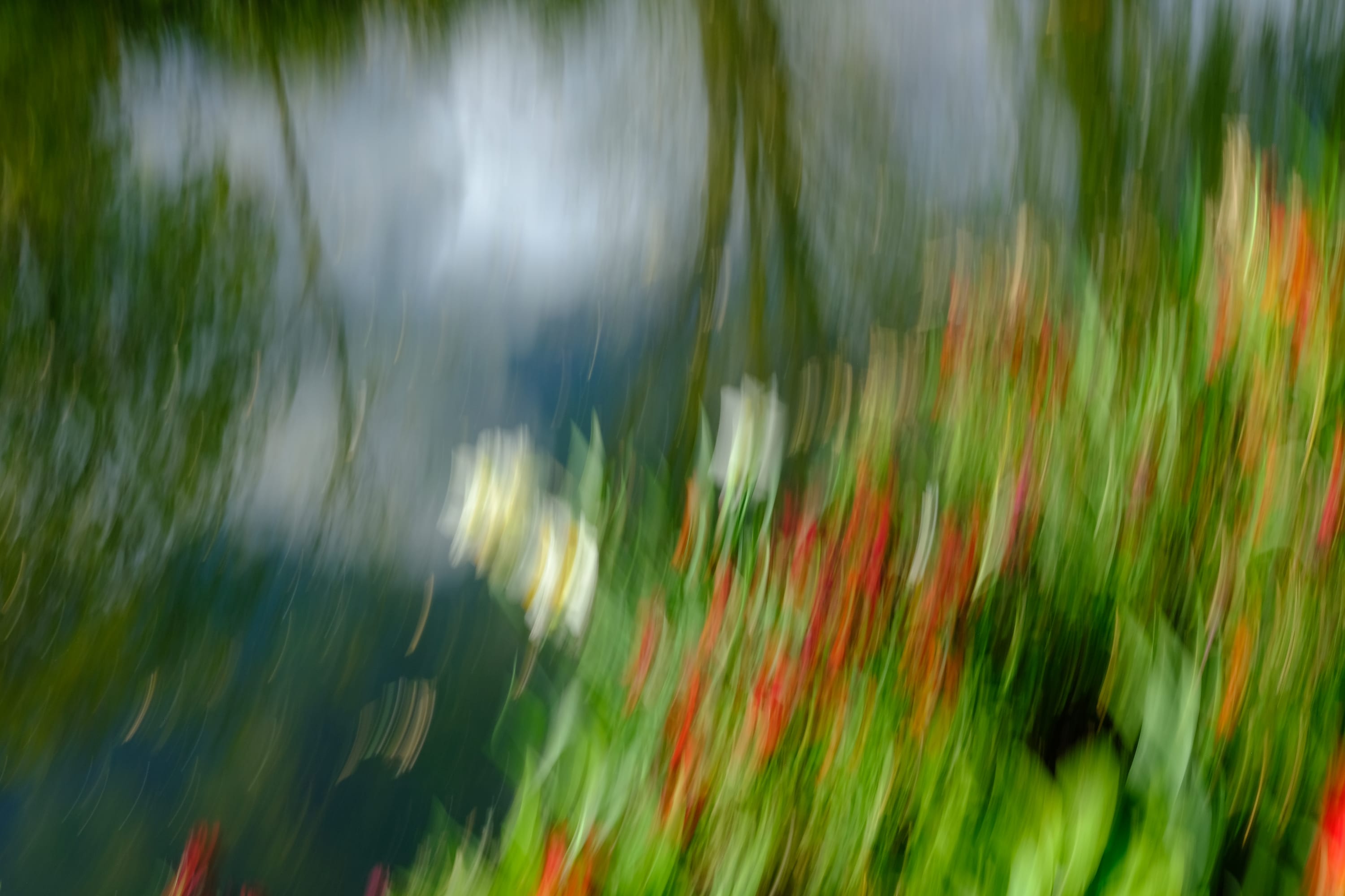 Impressionist camera-movement study from the Giverny series — description pending curation