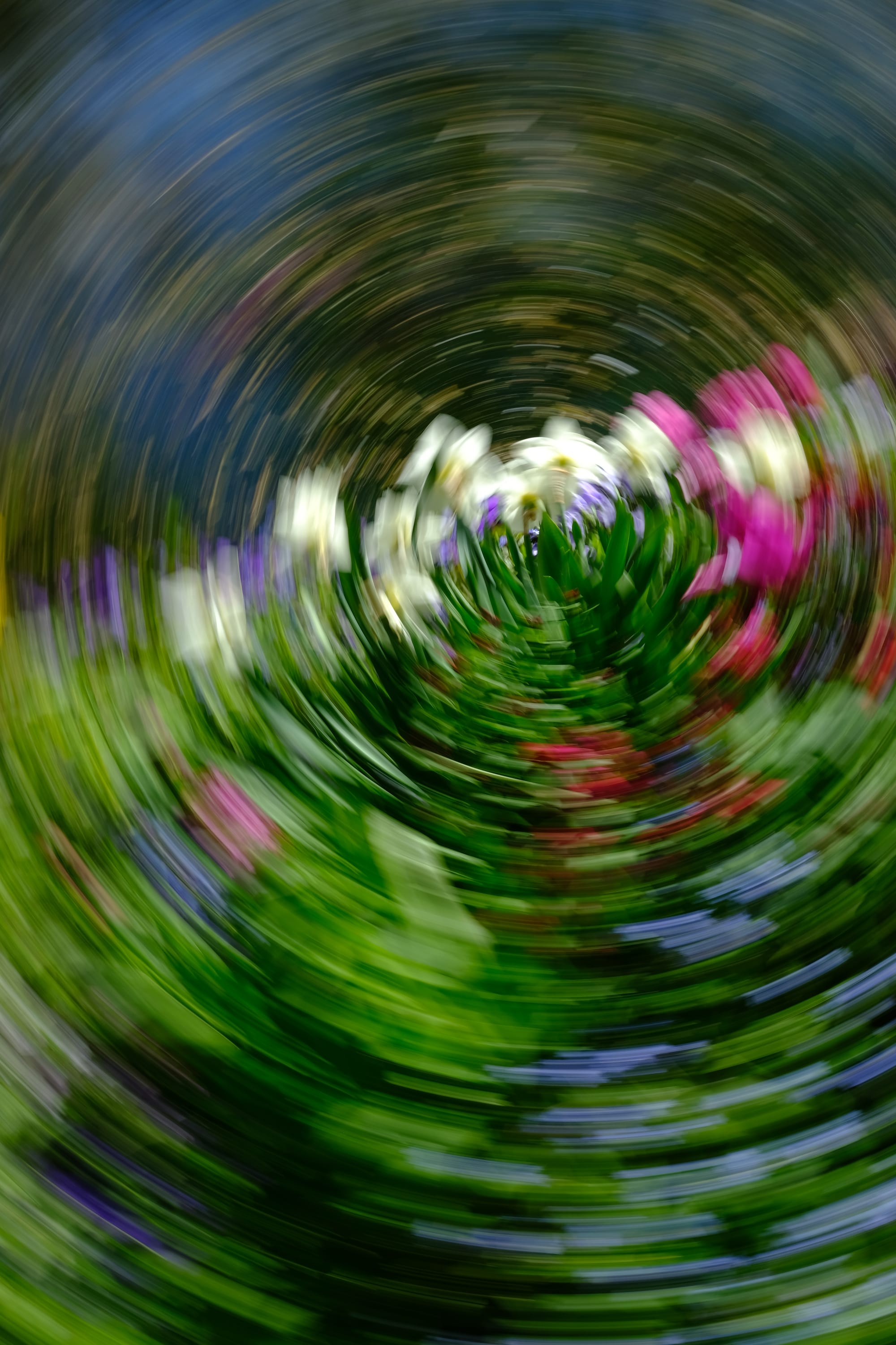Impressionist camera-movement study from the Giverny series — description pending curation