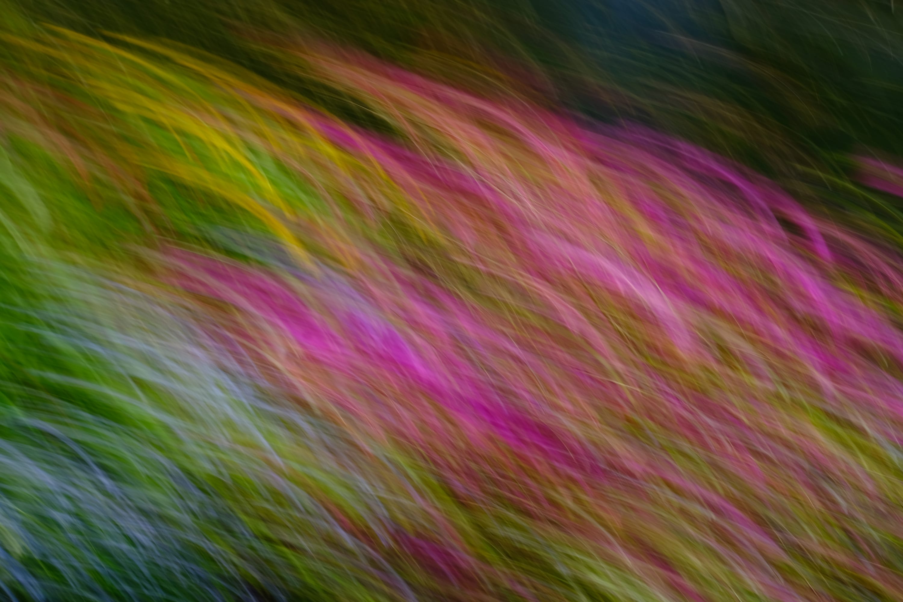 Impressionist camera-movement study from the Giverny series — description pending curation