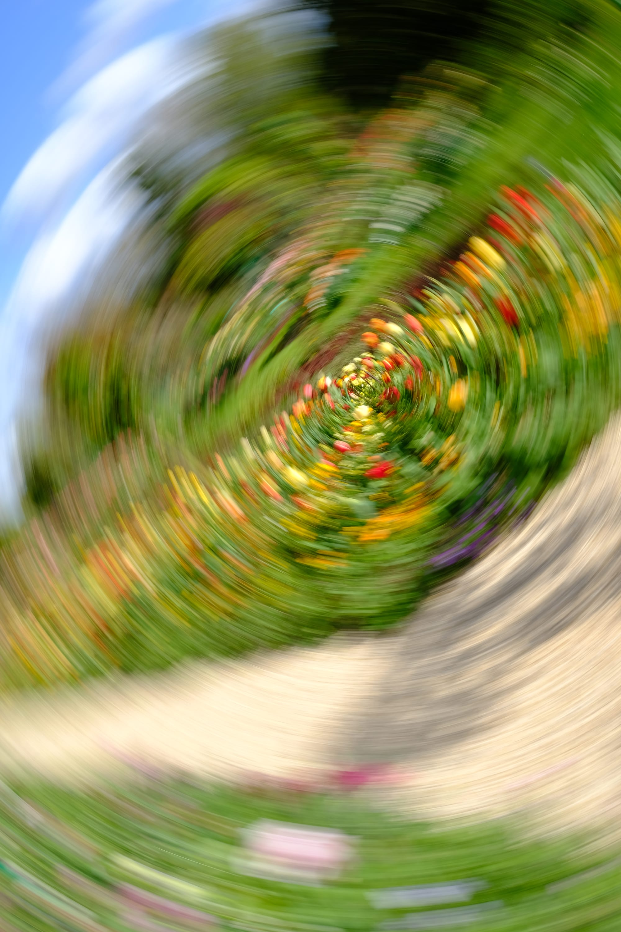 Impressionist camera-movement study from the Giverny series — description pending curation