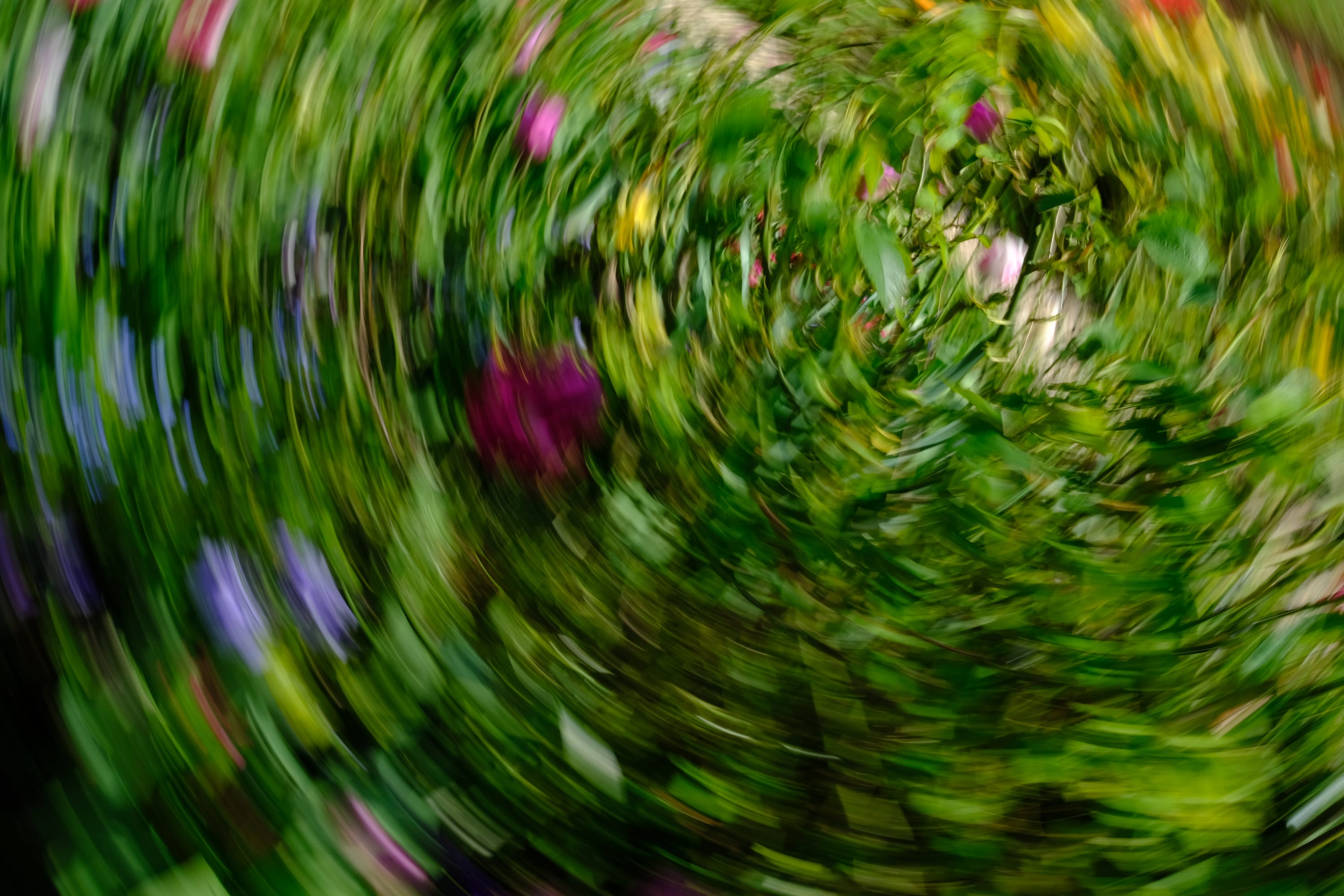 Impressionist camera-movement study from the Giverny series — description pending curation