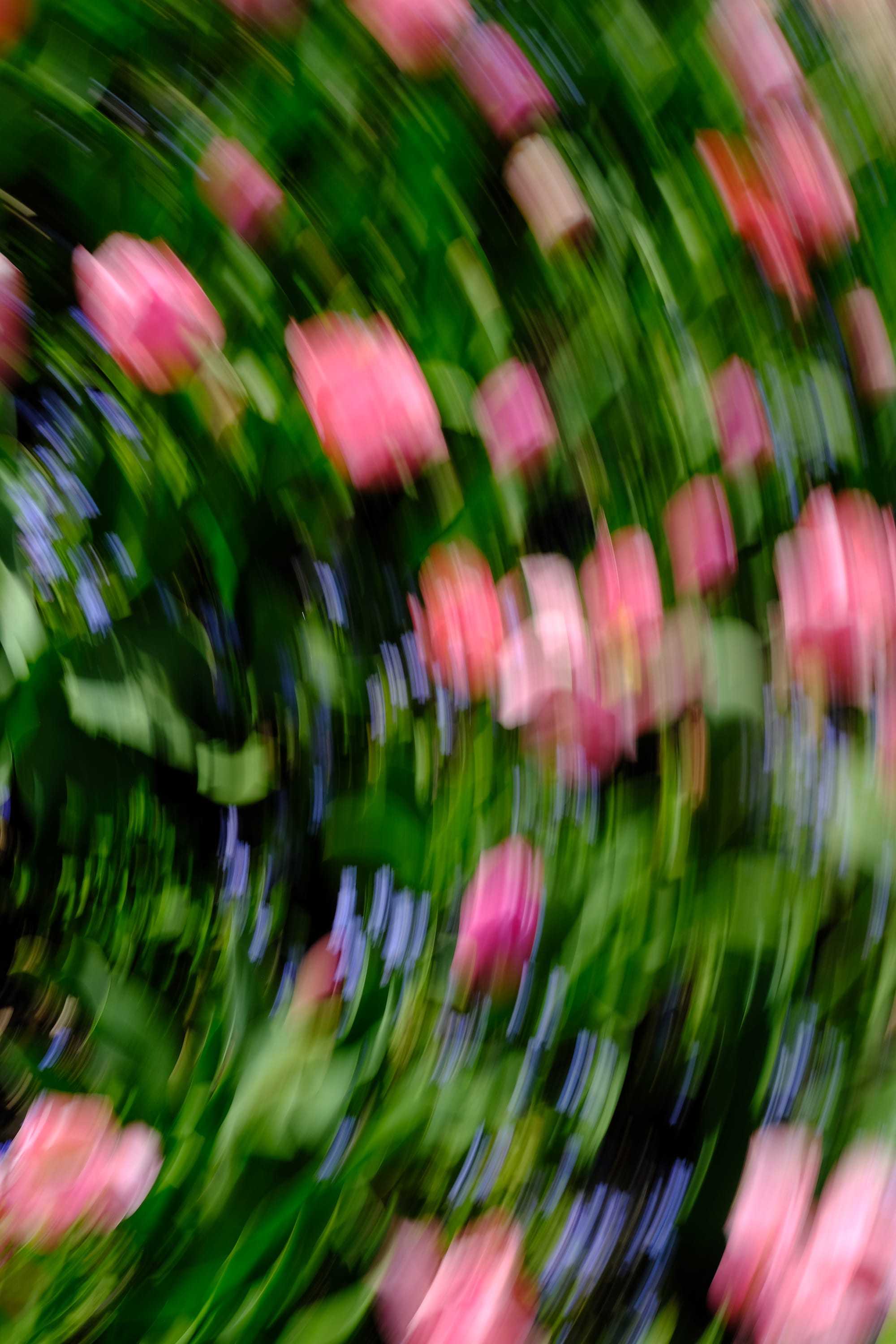 Impressionist camera-movement study from the Giverny series — description pending curation