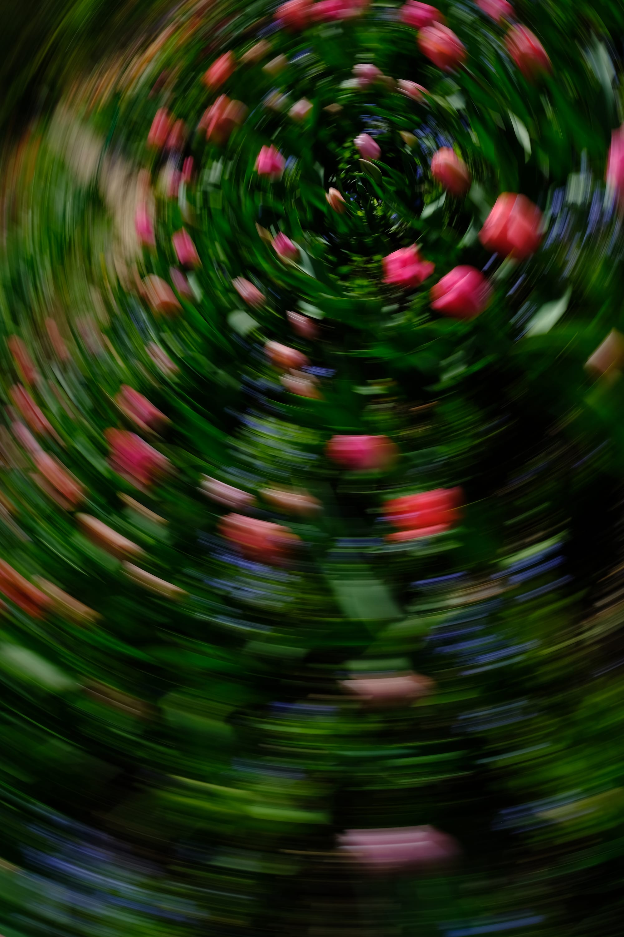 Impressionist camera-movement study from the Giverny series — description pending curation