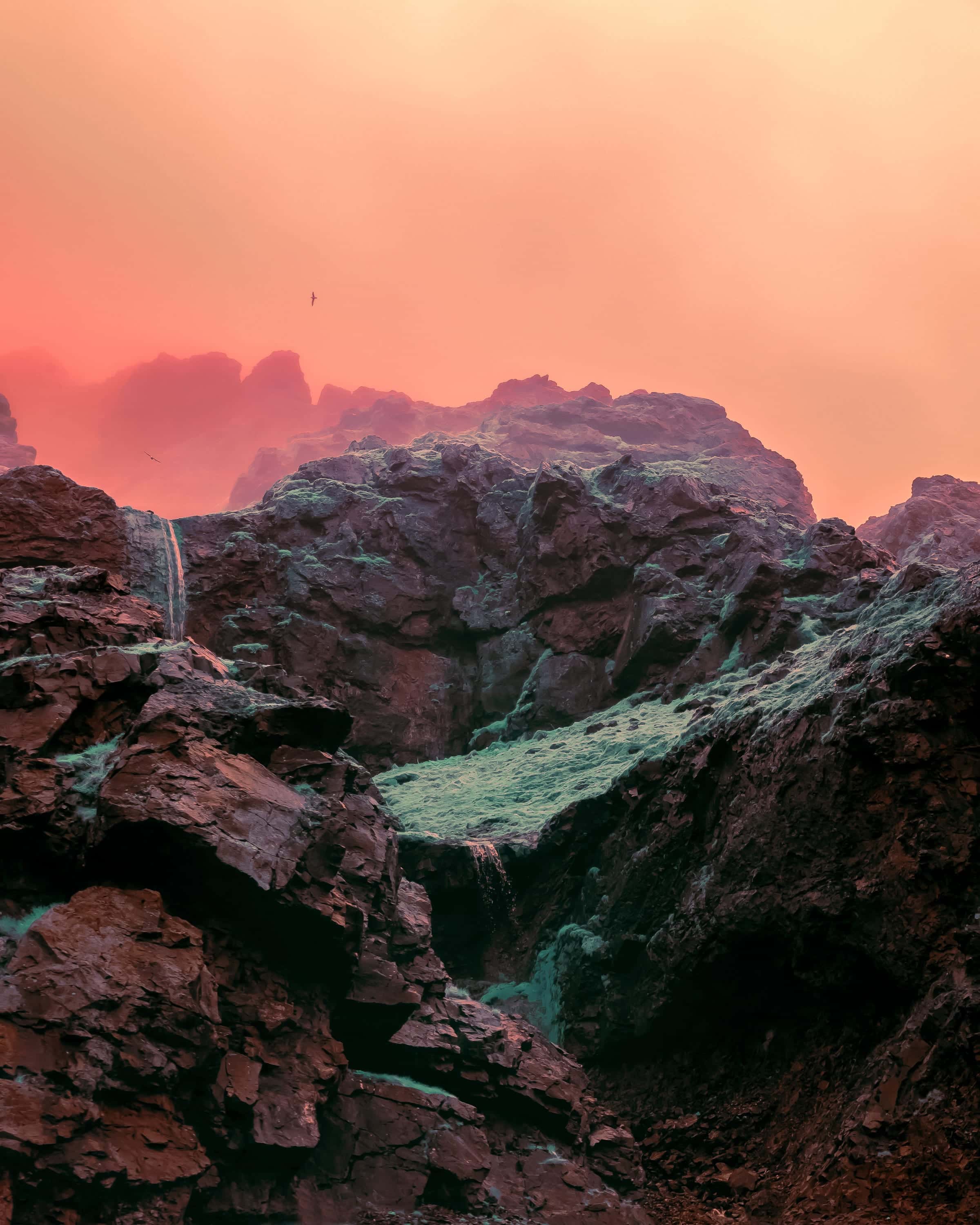 Jagged basalt cliffs veined with mint-green moss, a thin waterfall and circling seabirds against a coral sky