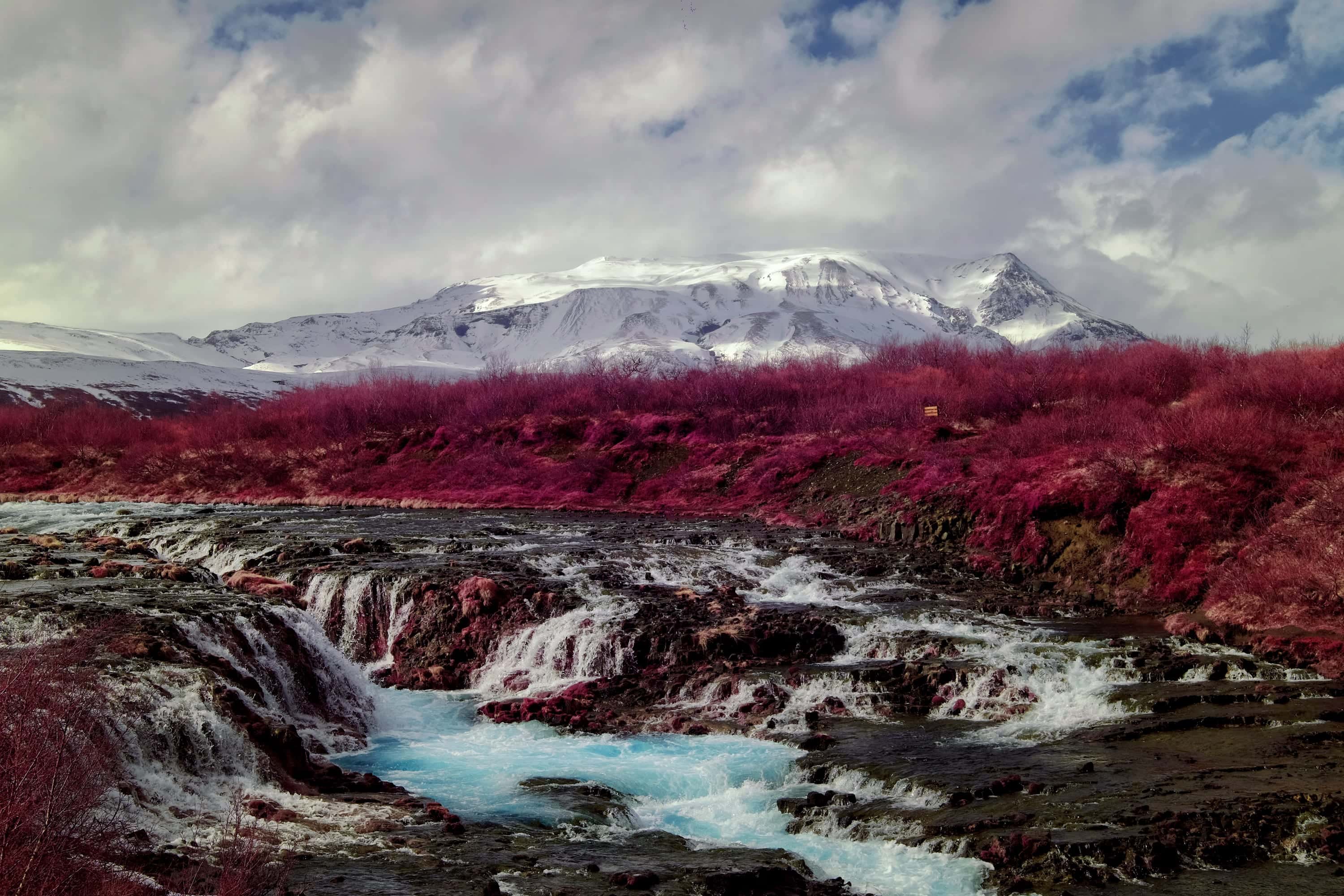 Milk-blue cascades stepping over dark rock between crimson scrub, a snow-covered ridge beyond