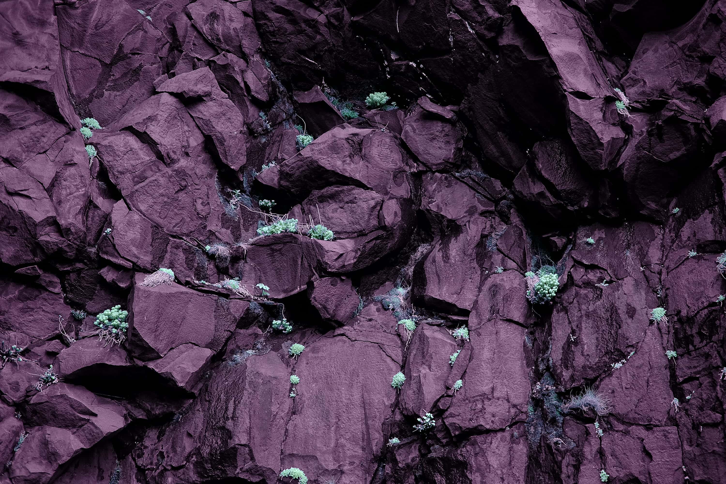 Near-infrared photograph from the Iceland series