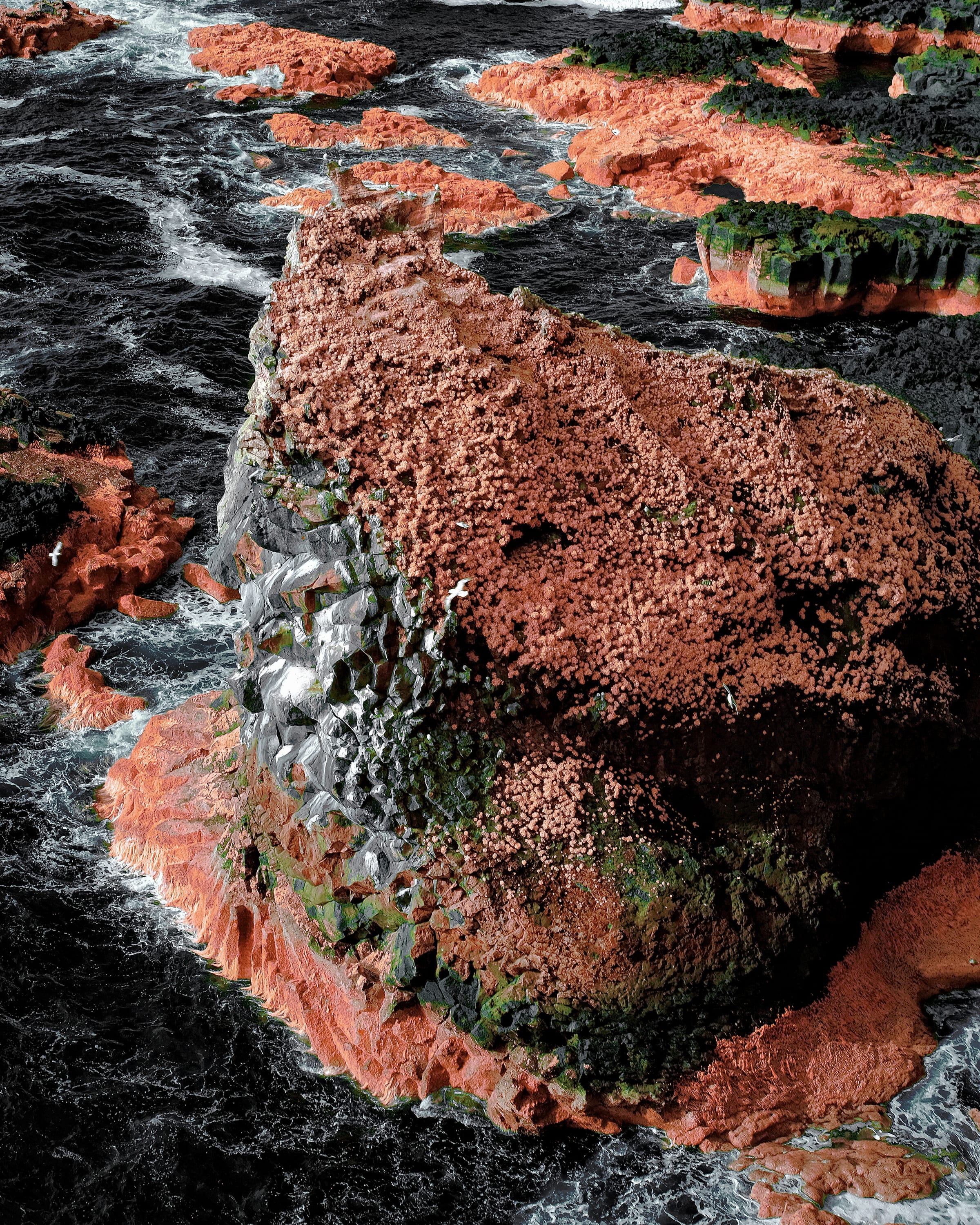 Near-infrared photograph from the Iceland series — description pending curation
