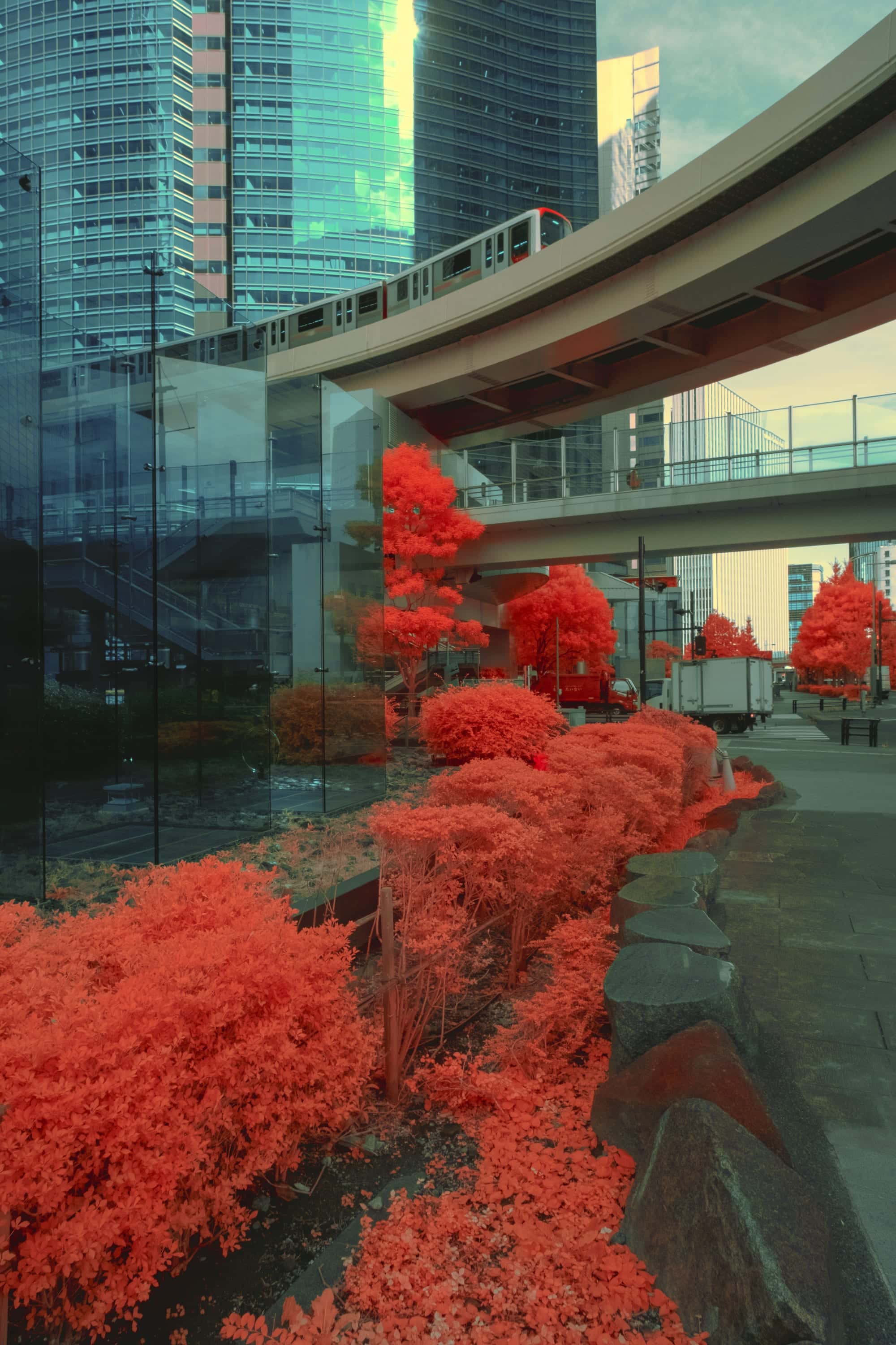 An elevated train on a curving viaduct above glass office towers in Tokyo, with a bank of street planting below rendered scarlet, photographed in near-infrared light.