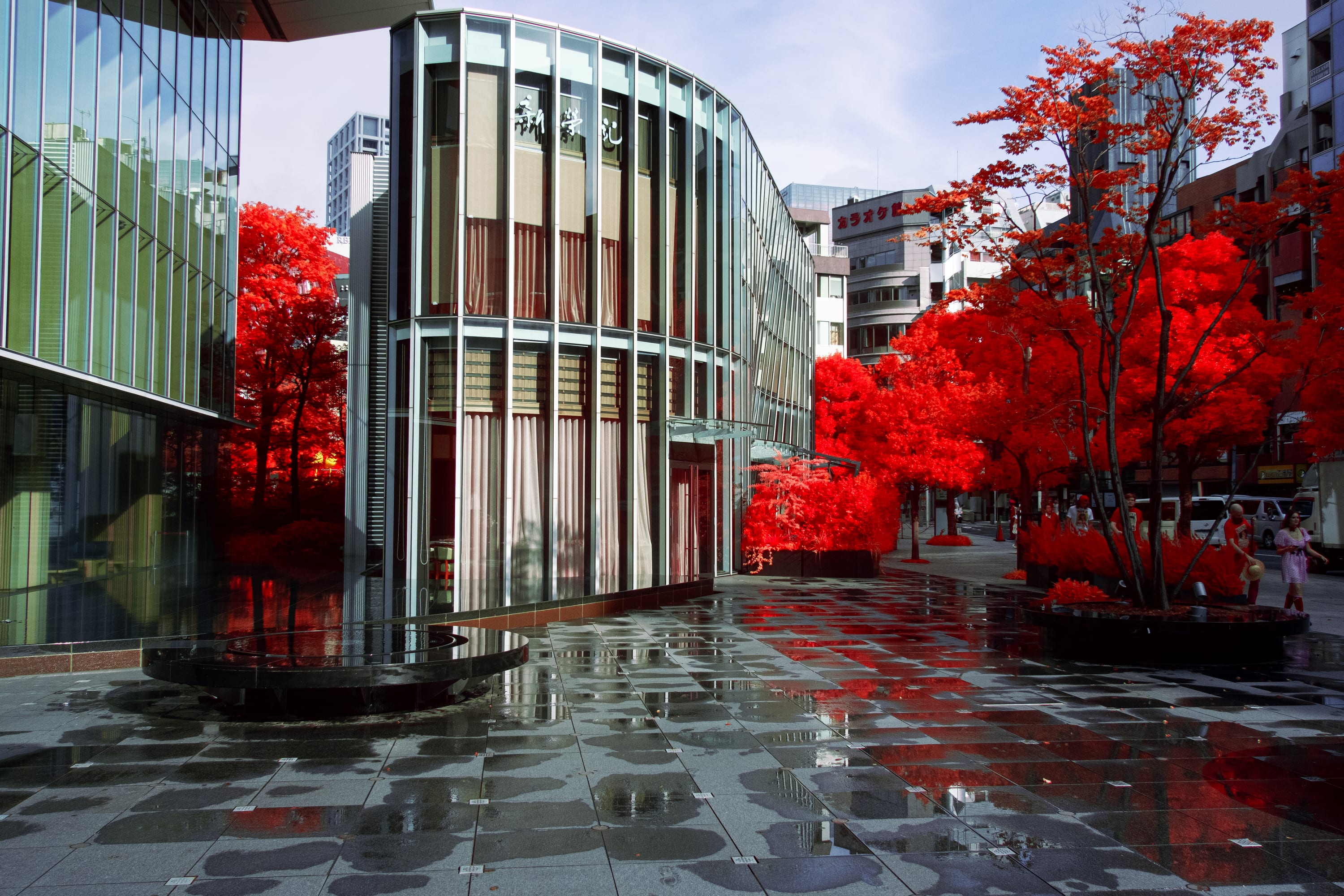 Near-infrared photograph from the Japan series — description pending curation