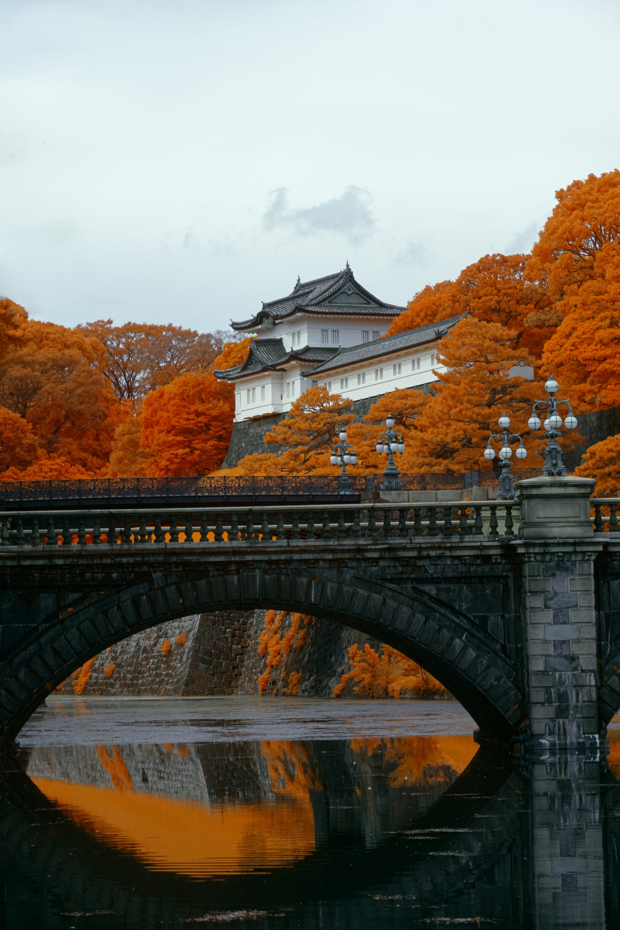 Near-infrared photograph from the Japan series — description pending curation