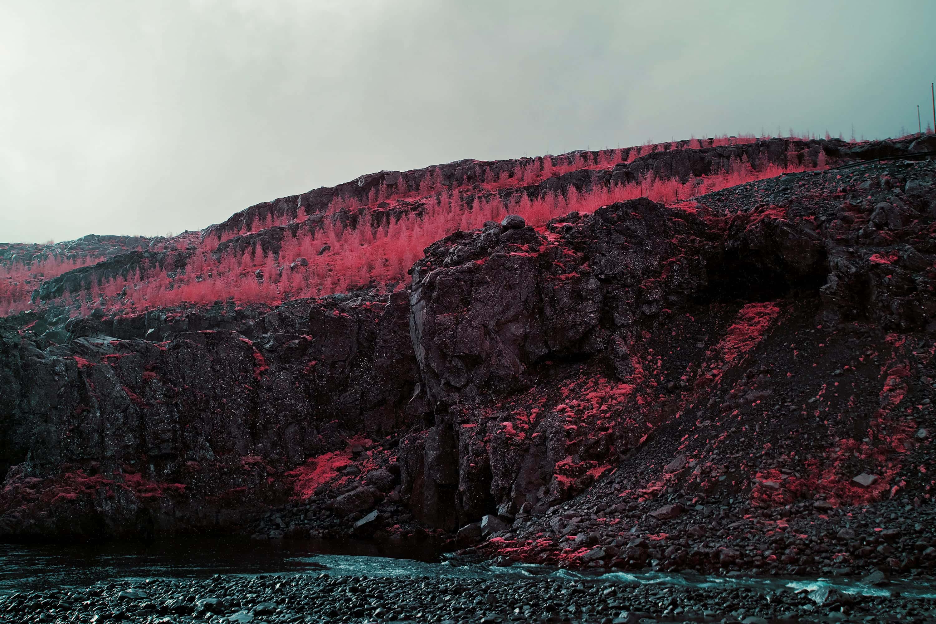 Crimson forest above a black basalt gorge, a pale teal river cutting through the canyon floor
