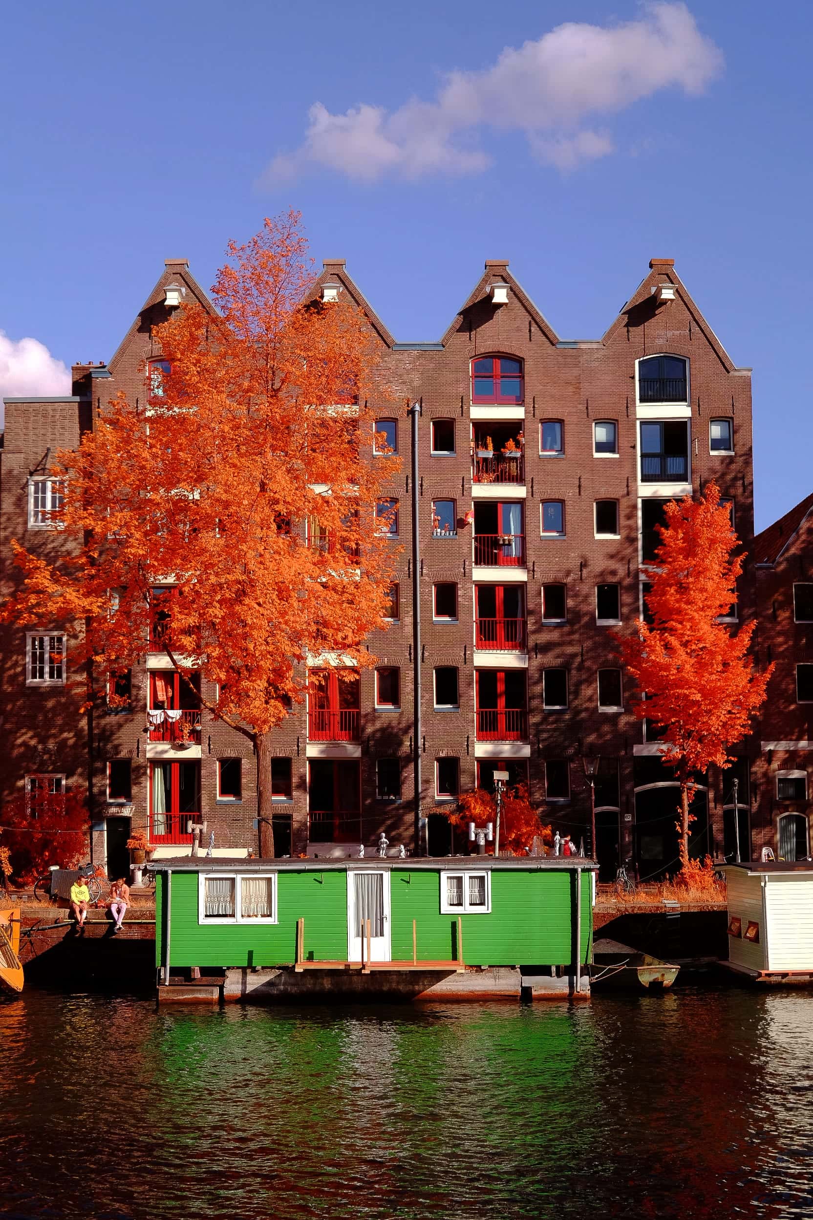 Near-infrared photograph from the Netherlands series