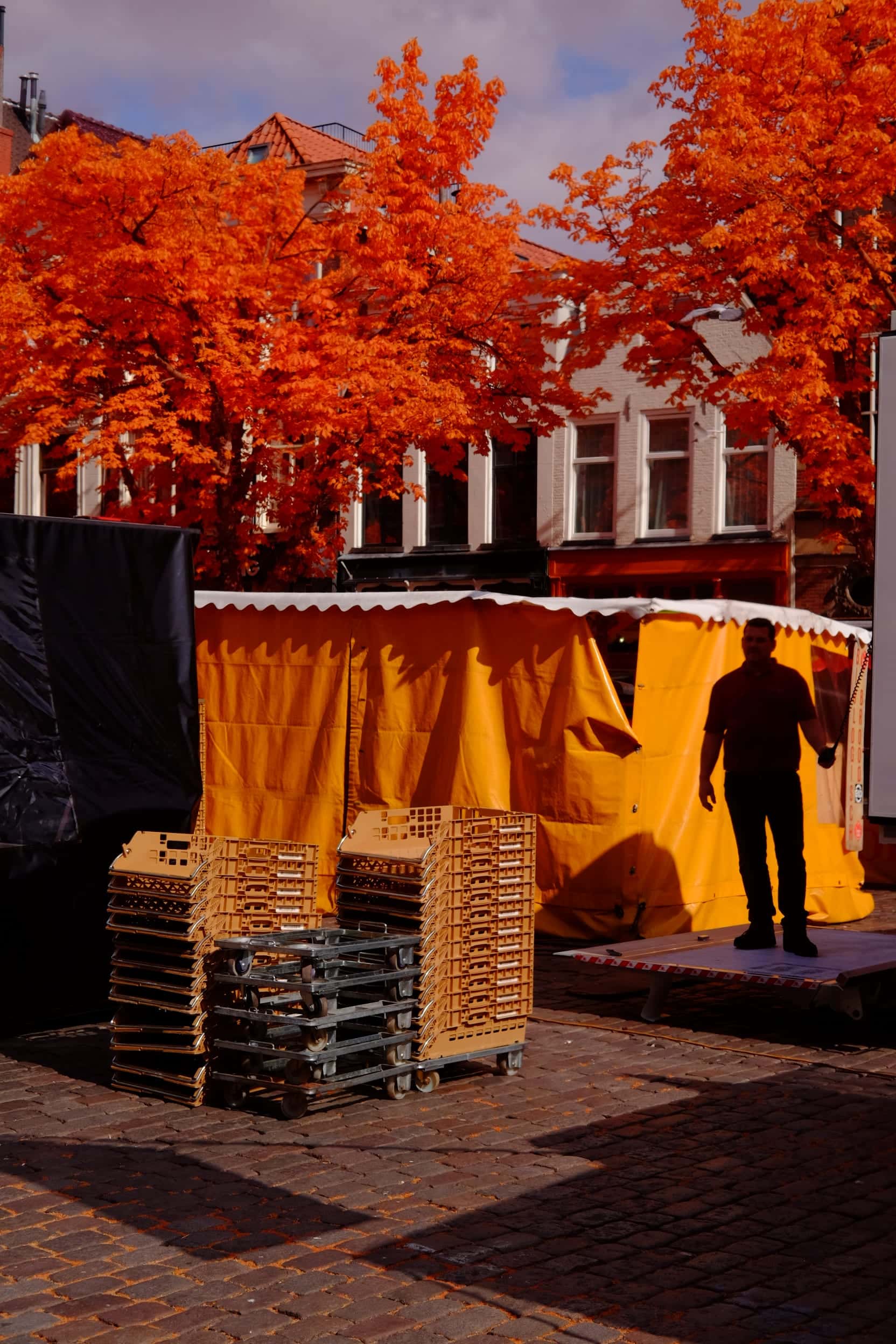 Near-infrared photograph from the Netherlands series