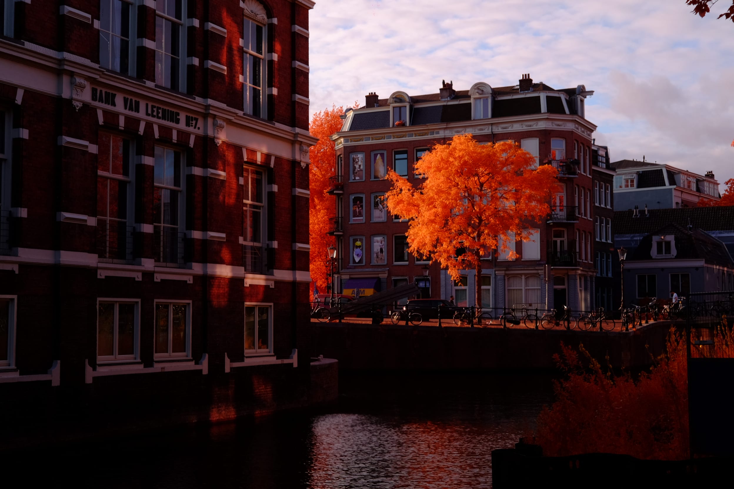 Near-infrared photograph from the Netherlands series — description pending curation