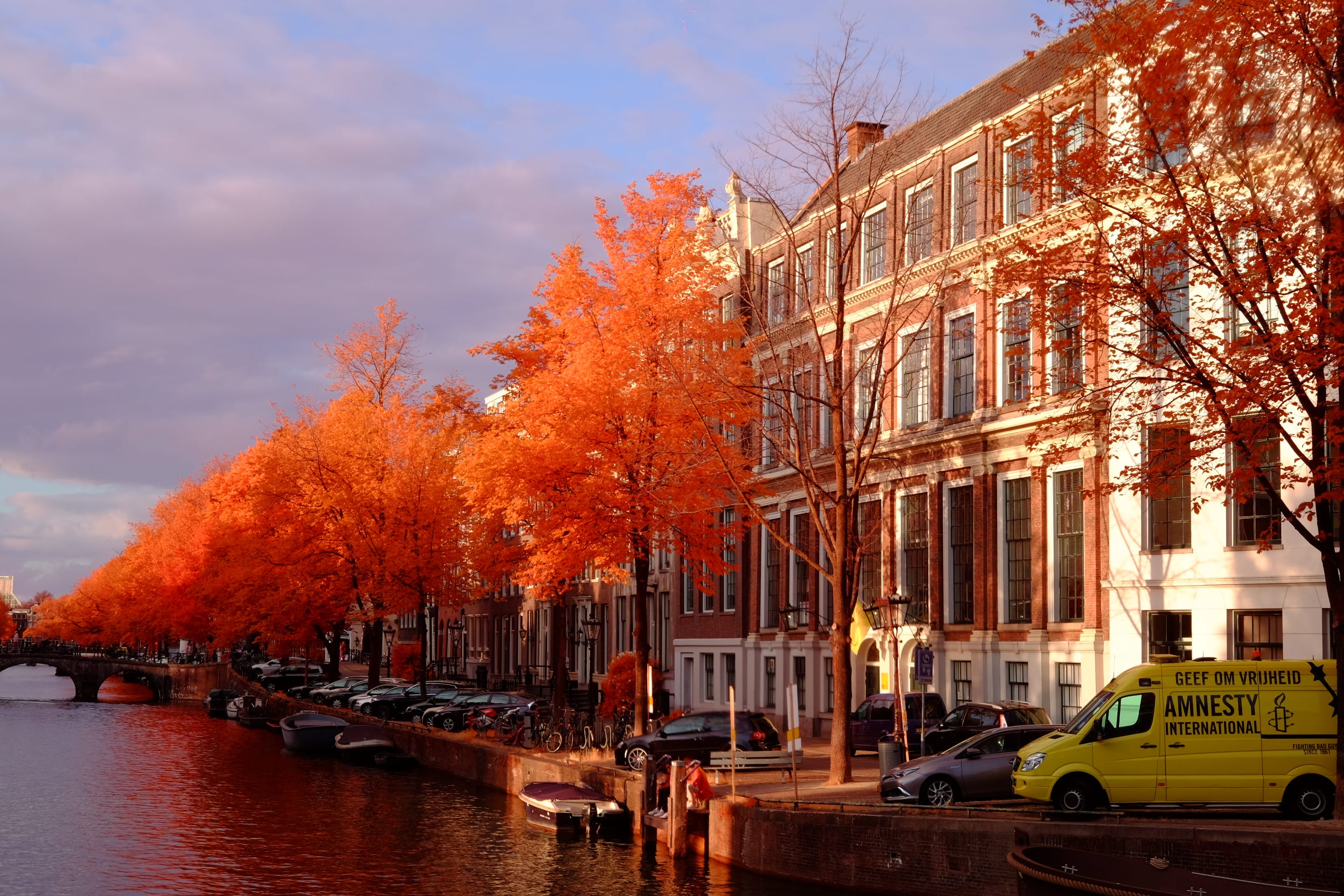 Near-infrared photograph from the Netherlands series — description pending curation
