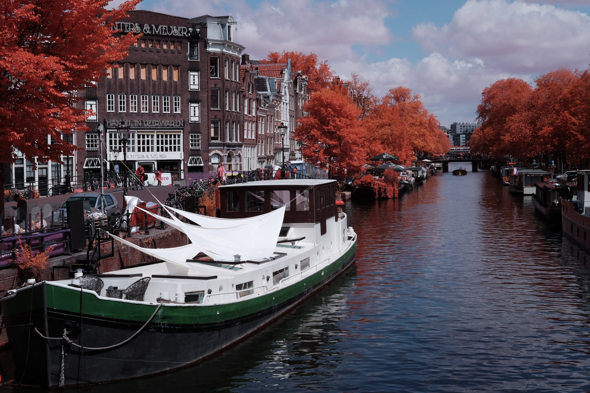 Near-infrared photograph from the Netherlands series — description pending curation