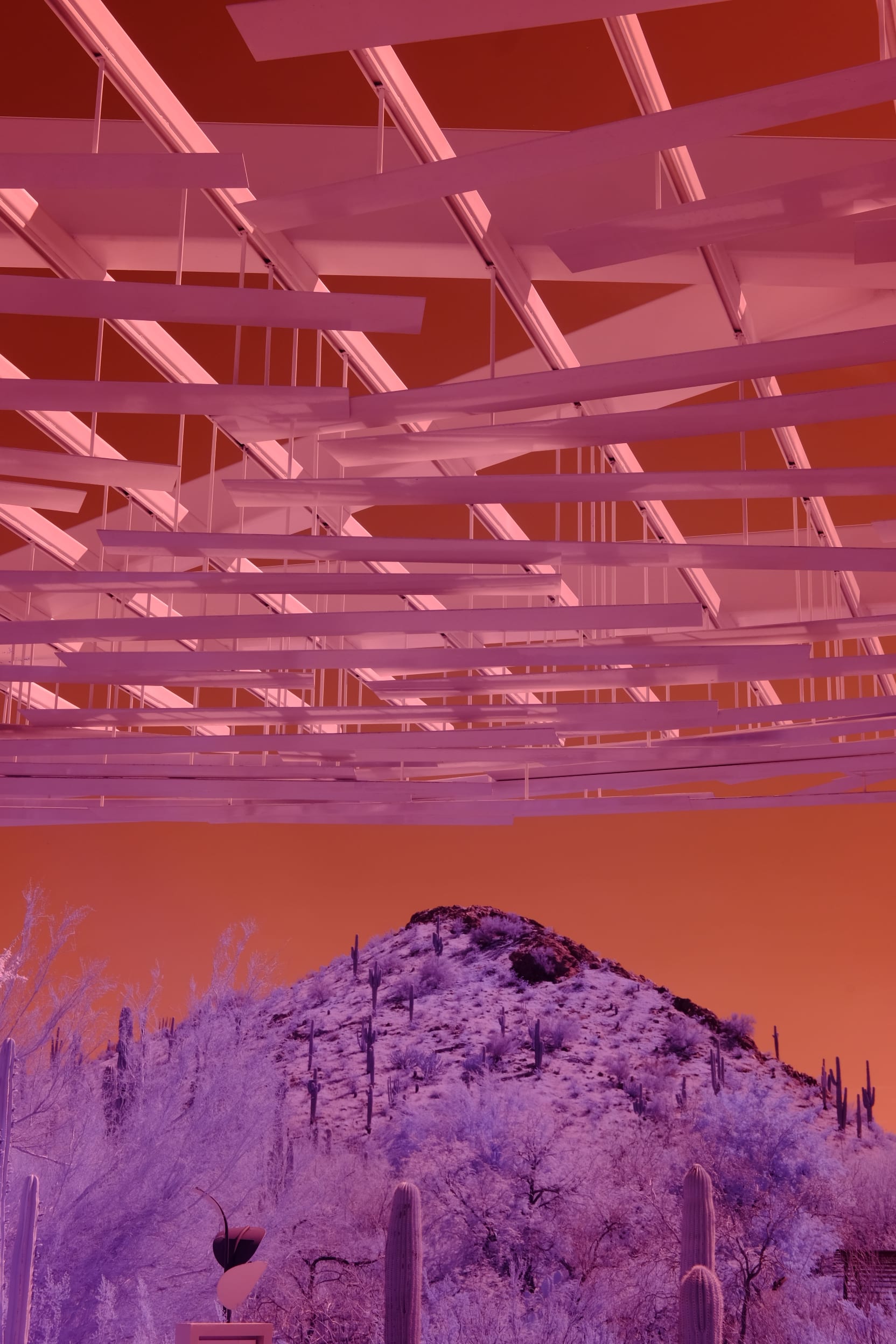 Near-infrared photograph from the Southwest series — description pending curation