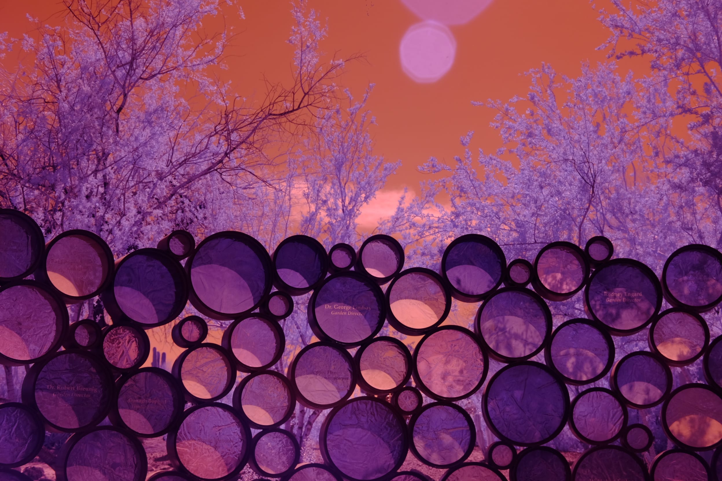 Near-infrared photograph from the Southwest series — description pending curation